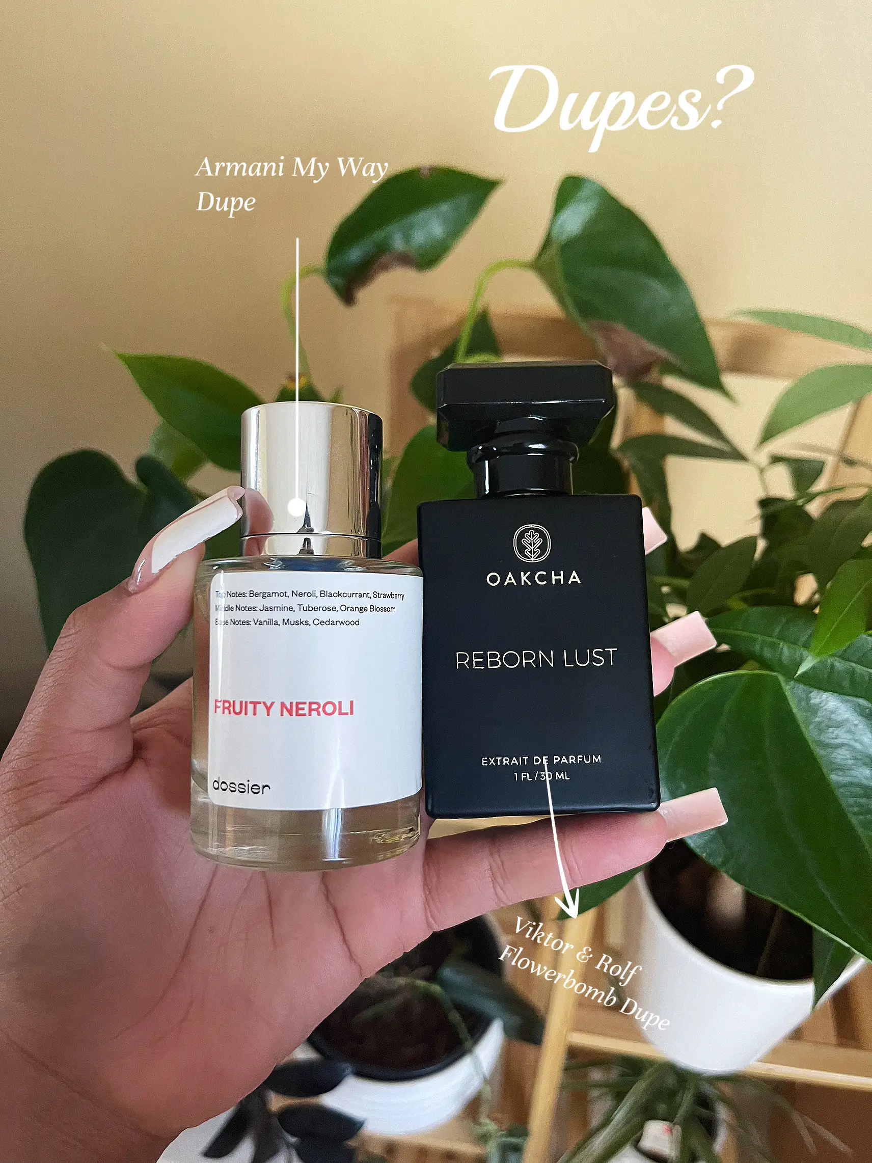 20 top Dossier Fruity Neroli Vs Giorgio Armani My Way ideas in 2024