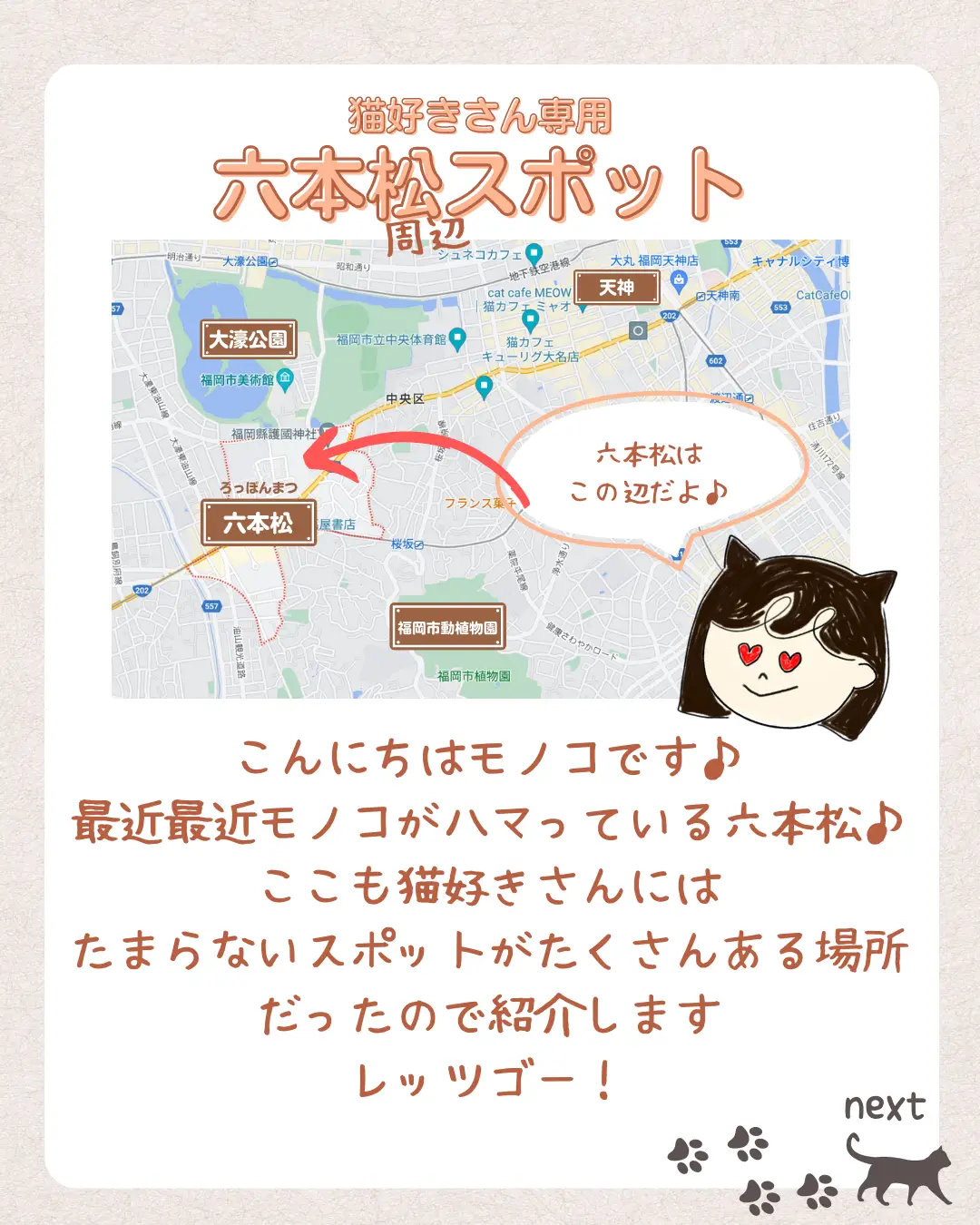 福岡六本松】猫好きさん専用おすすめスポット | 【モノコ】インスタ