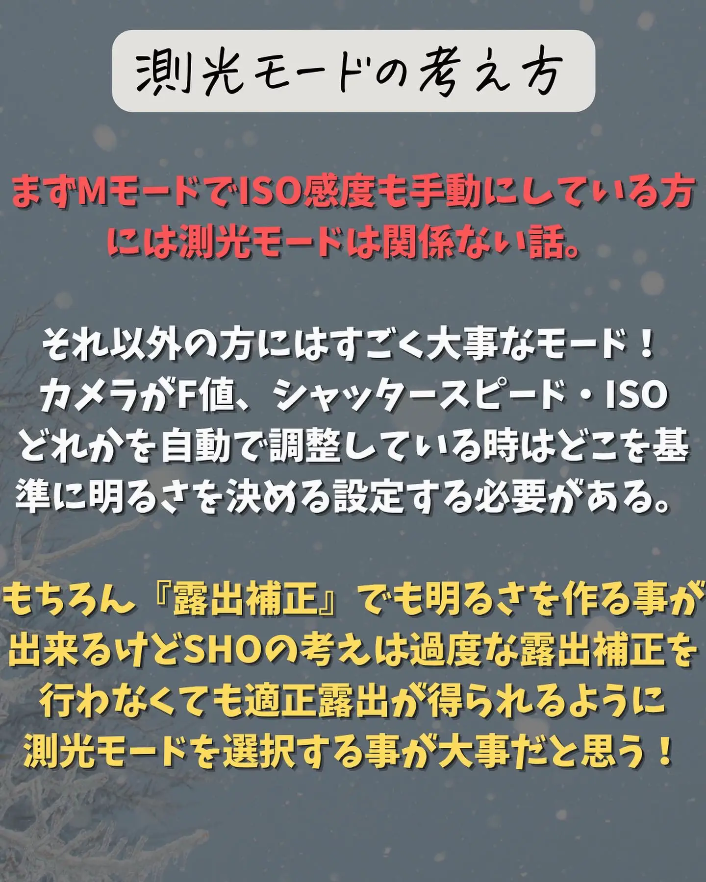 カメラ 測光 オファー と は