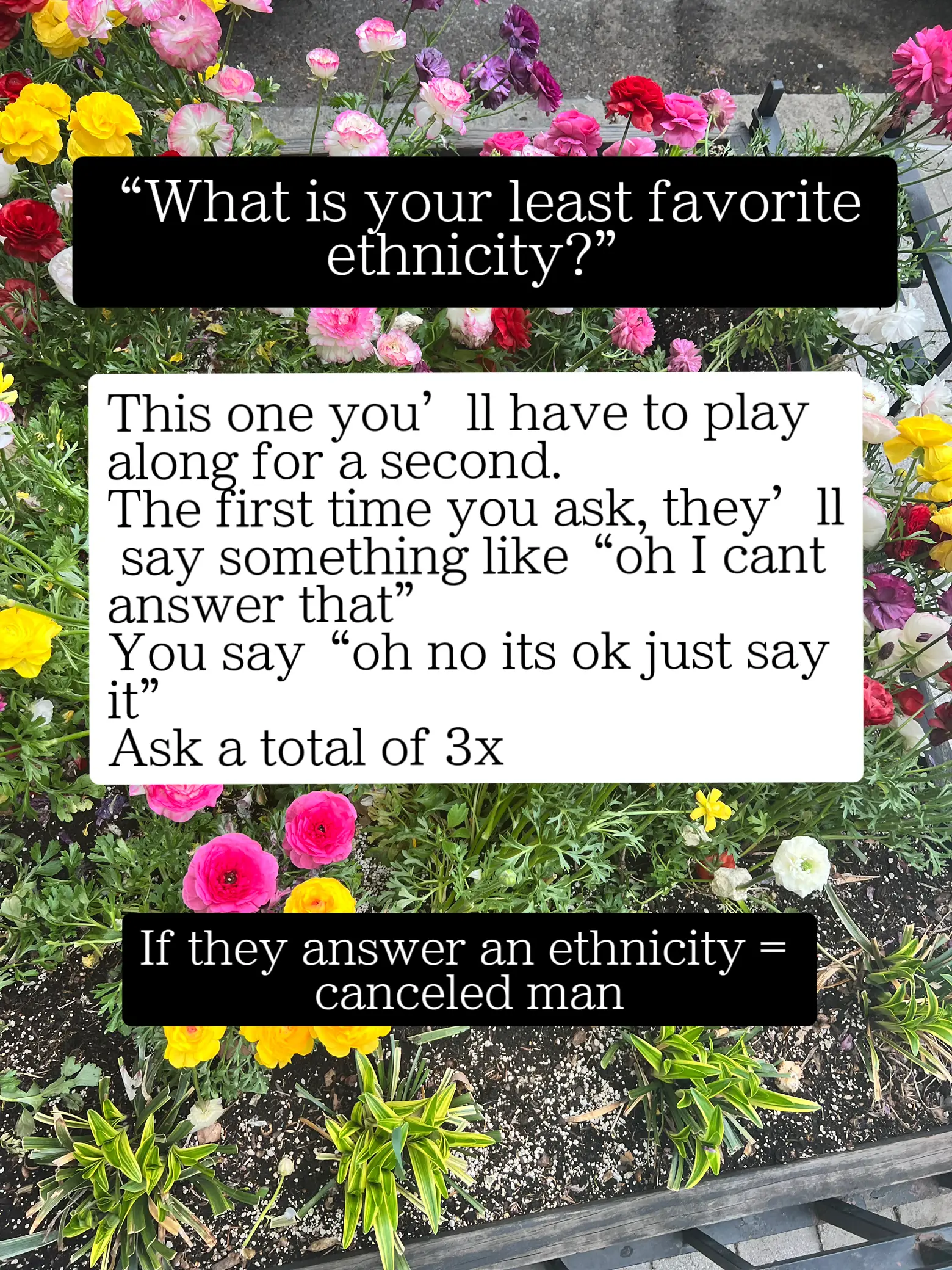  A text that says "What is your least favorite ethnicity?"