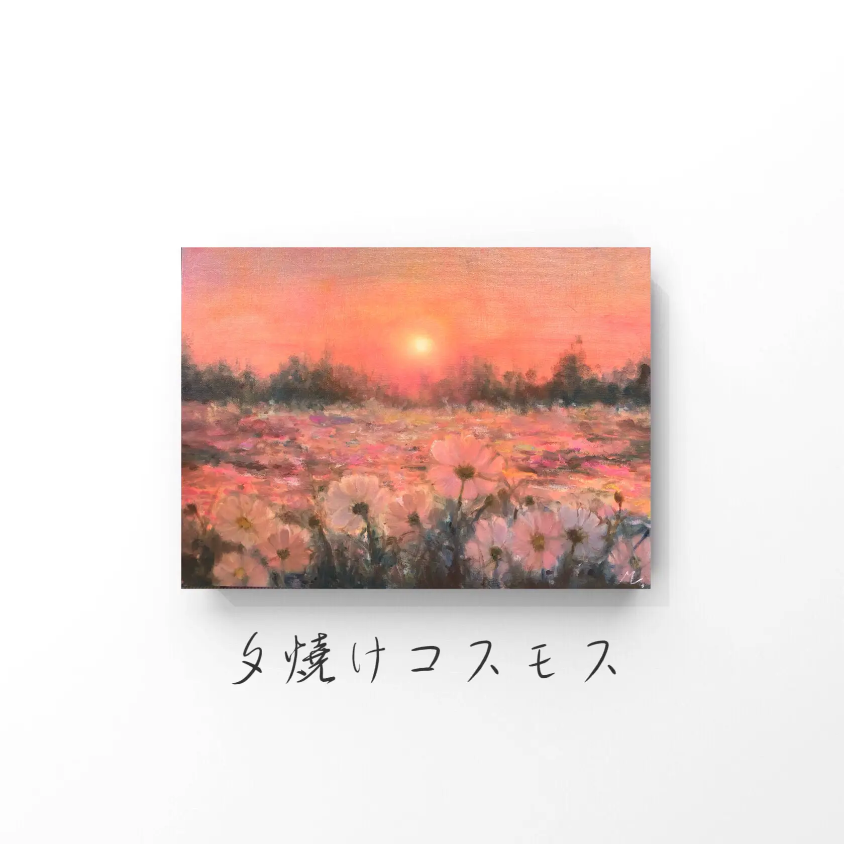 油絵夕日の中の秋桜