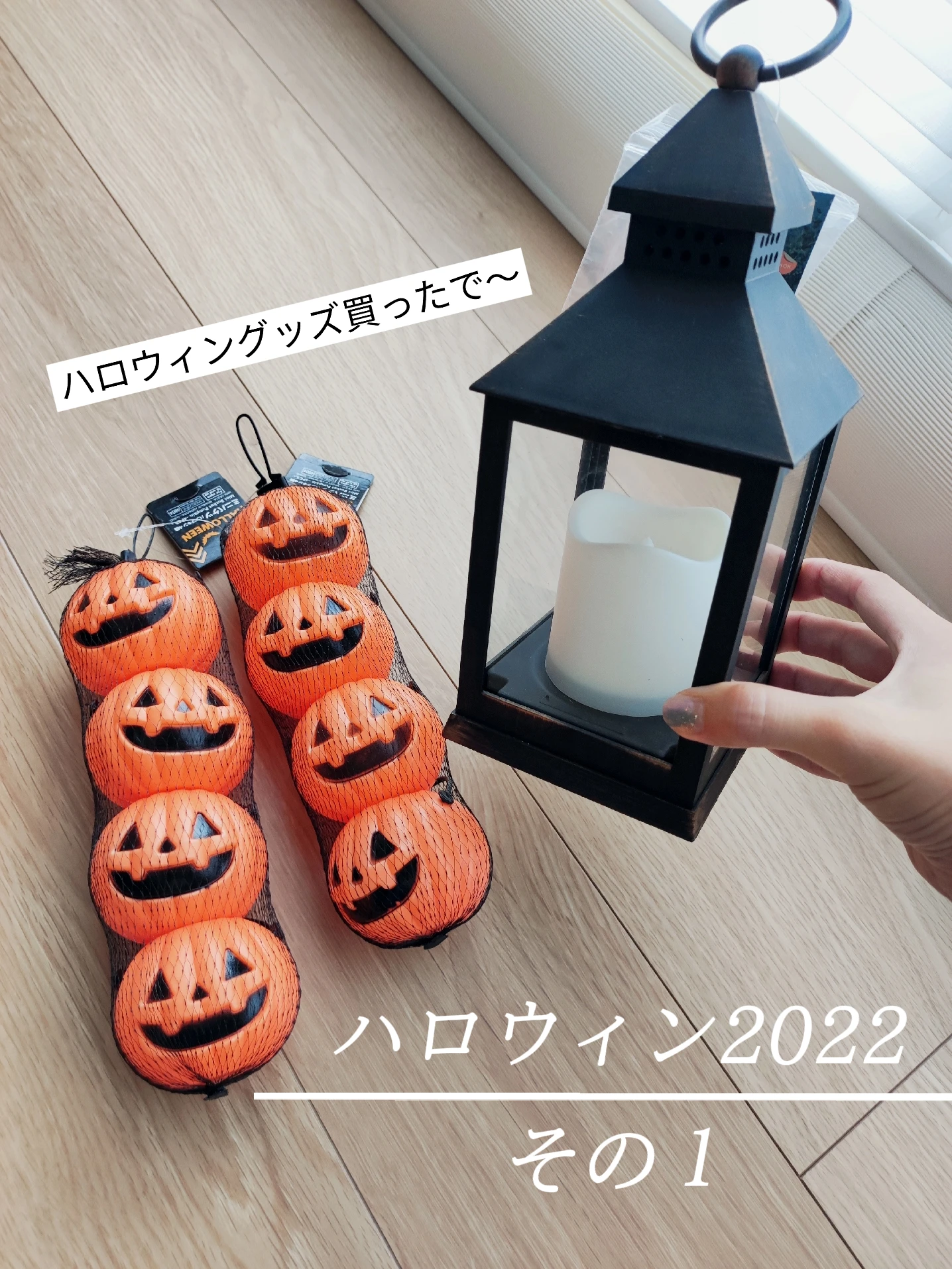 ハロウィン2022の準備その１〜ダイソーにてミニかぼちゃ沢山！ | ふみ