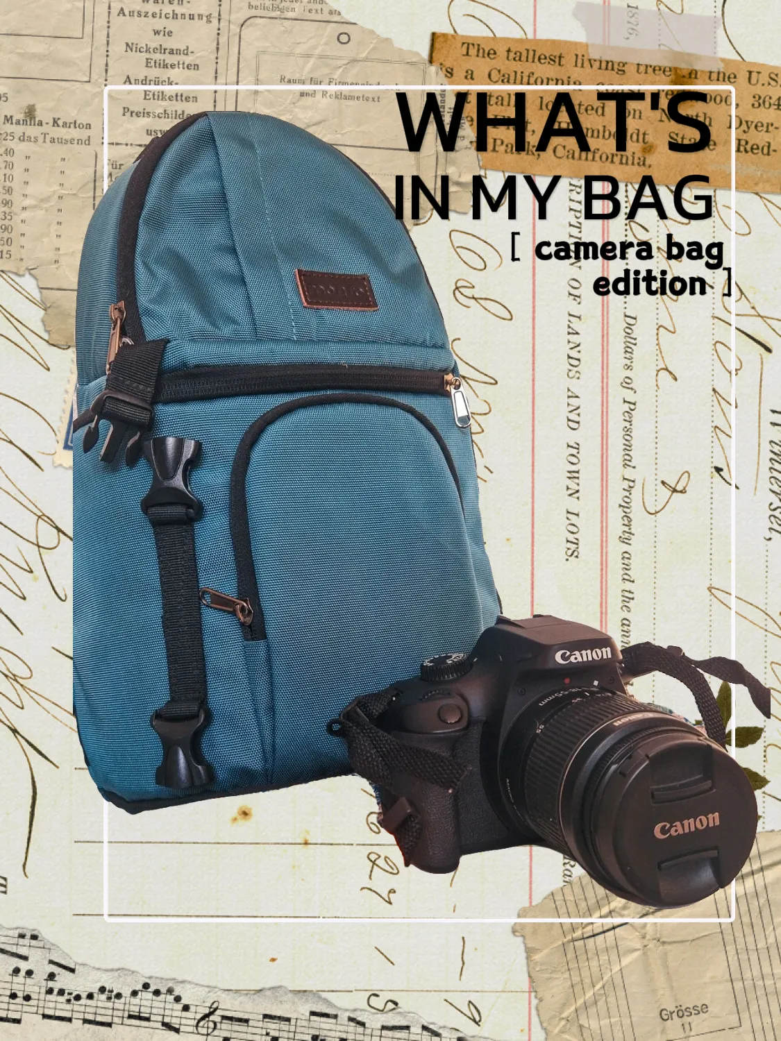 Must Camera Bag - LegrandShops - More May Bags in the Wild from