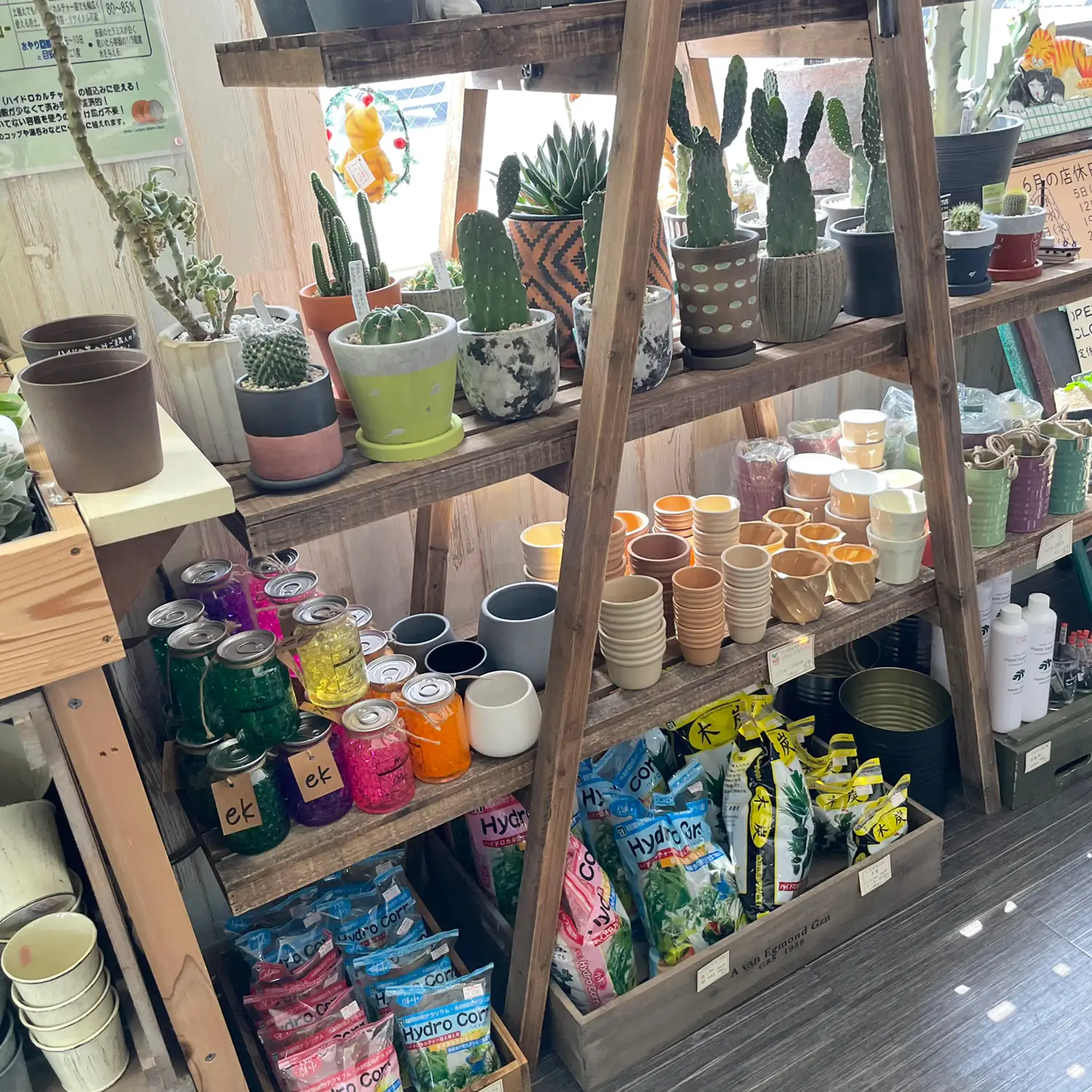 オススメ観葉植物のお店】 みどりと雑貨のお店 Green Rabbit