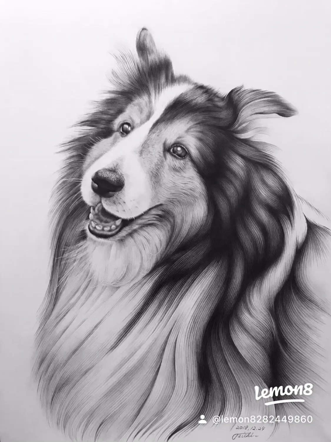 シェルティ 犬 犬の絵 原画 鉛筆画 絵画 手描き イラスト モノクロ