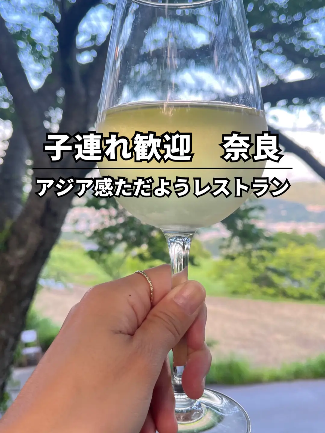 A restaurant in 🍴 forest that makes you feel like traveling abroad | Video  published by ゆり|お得な関西子連れスポット | Lemon8