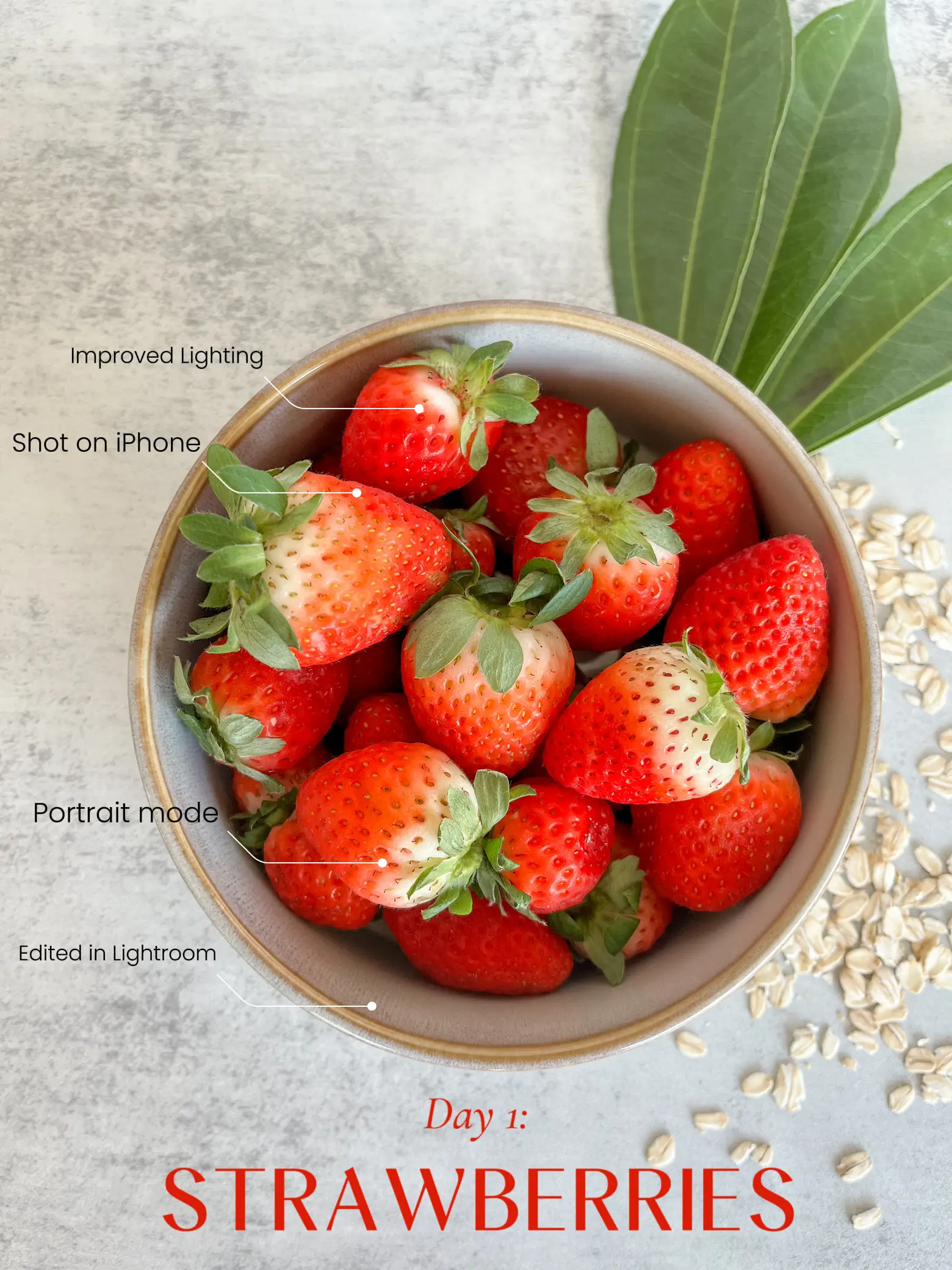 day-1-strawberries-gallery-posted-by-kelsey-byars-lemon8