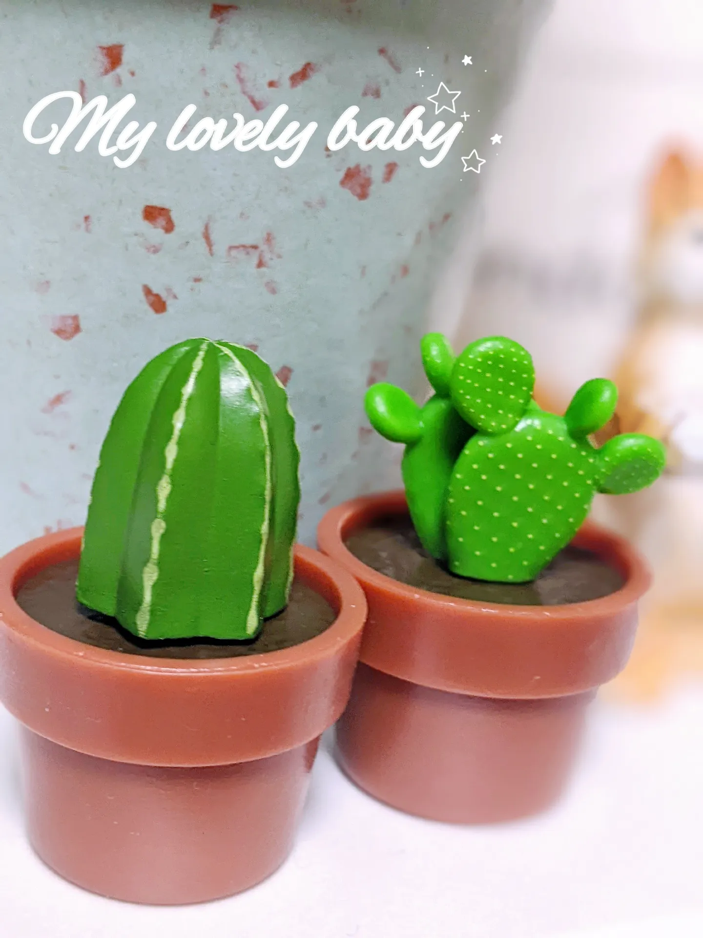 ミニチュアサボテン🌵実は…バスボールなんです😆 | tokutoku♡感謝♡が