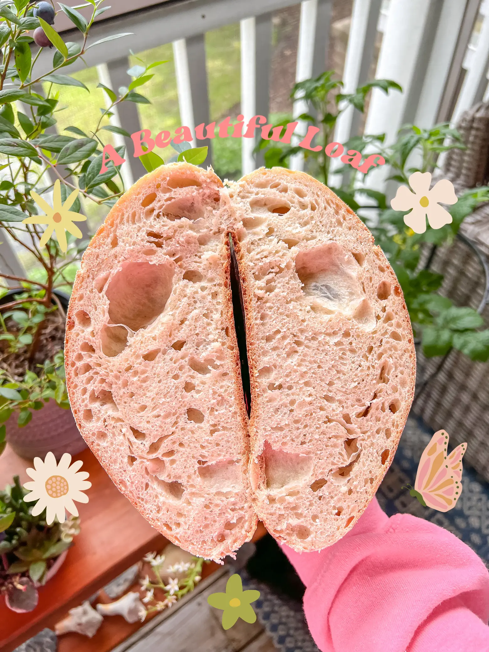 sourdough-loaf-gallery-posted-by-shelby-hart-lemon8