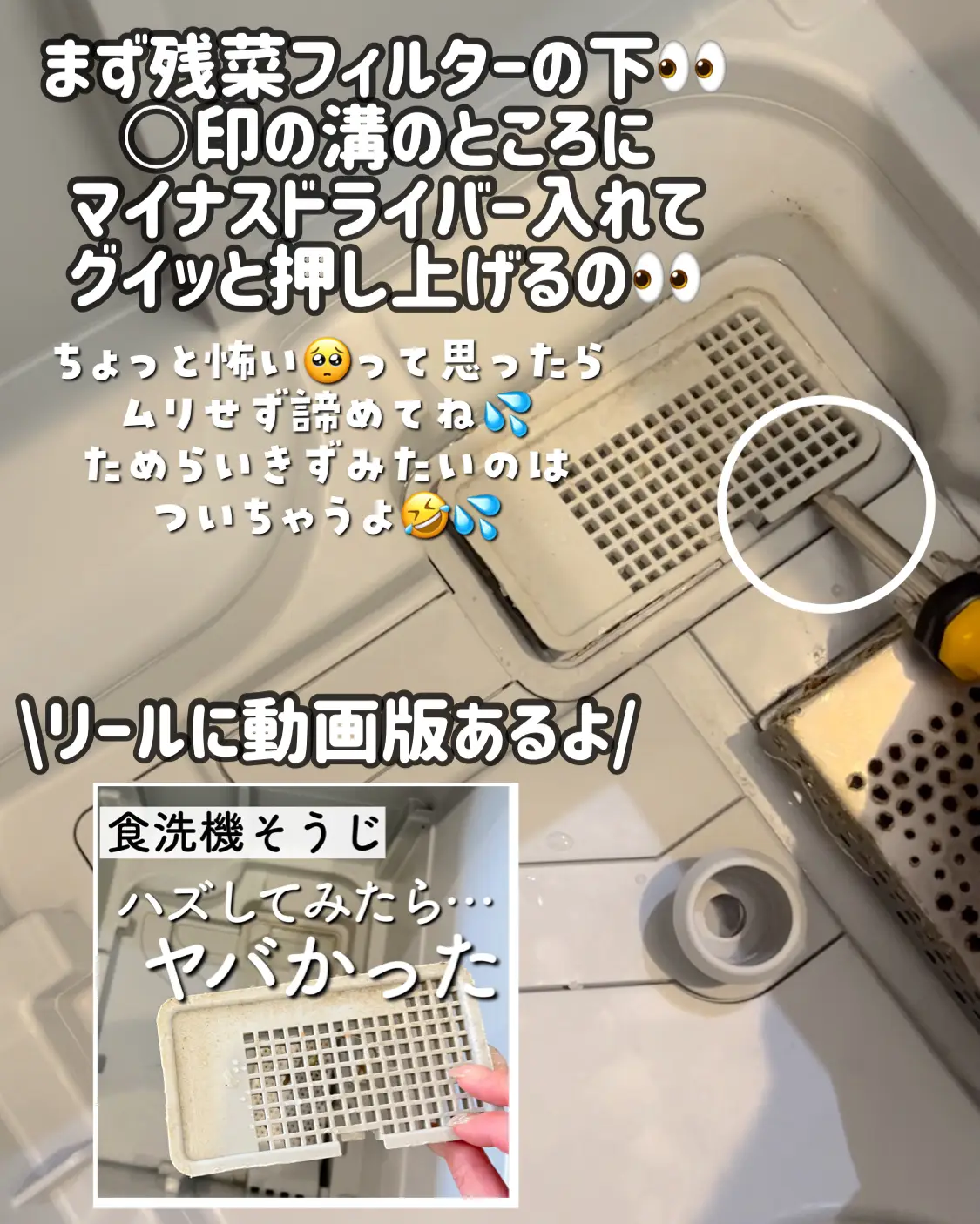 パナソニック食洗機】え？ココ、はずせるの？ってとこ外して掃除してみたらヤバかった🤣 | fuyu_おうち大好き主婦が投稿したフォトブック |  Lemon8