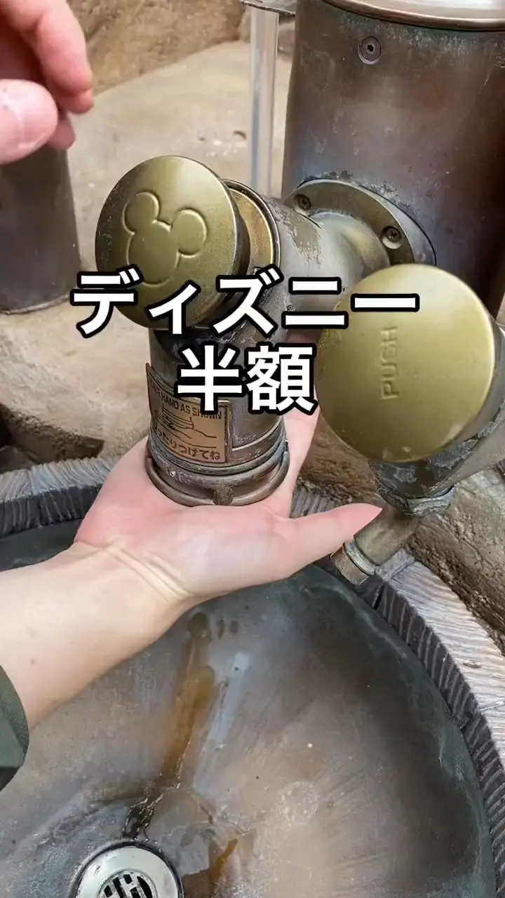 ディズニー半額