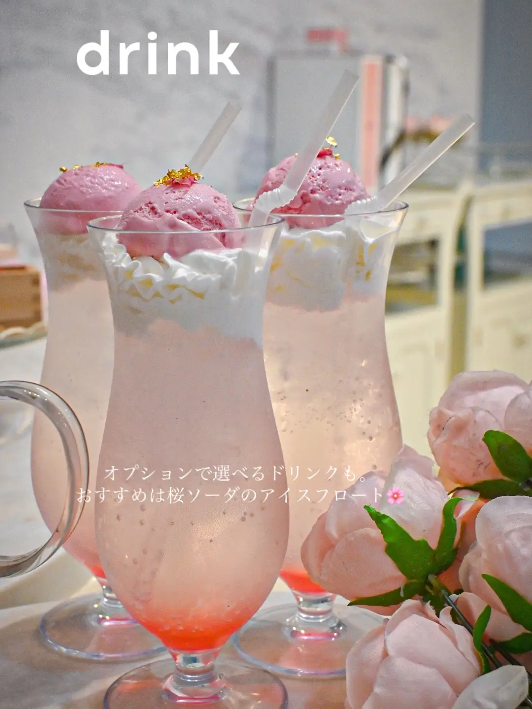 SCANDAL MANIA 会報 2〜23 1.11無し