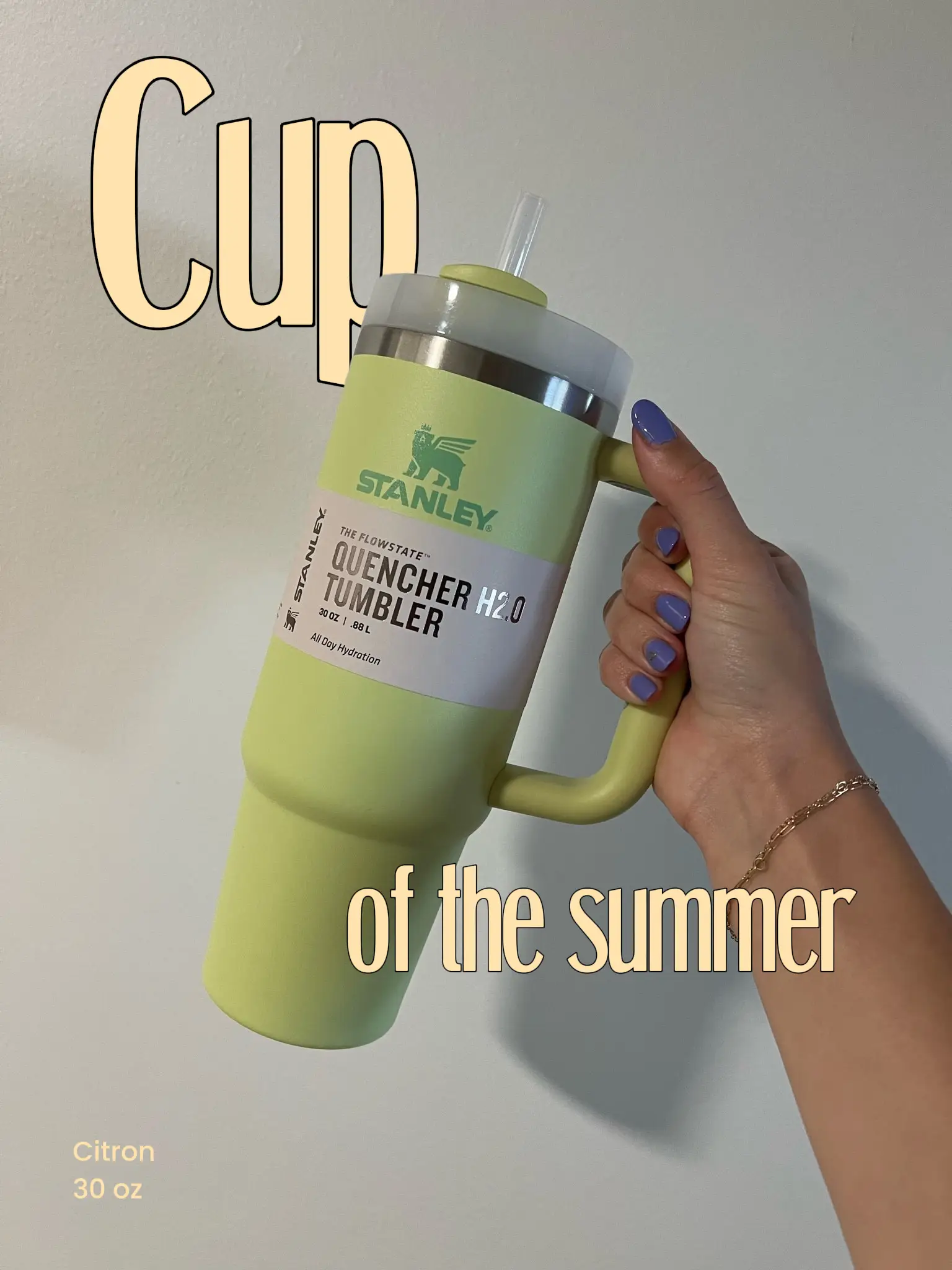 Stanley Cup Quencher H2.0 Tumbler 40oz Citron Target Exclusive In Hand 