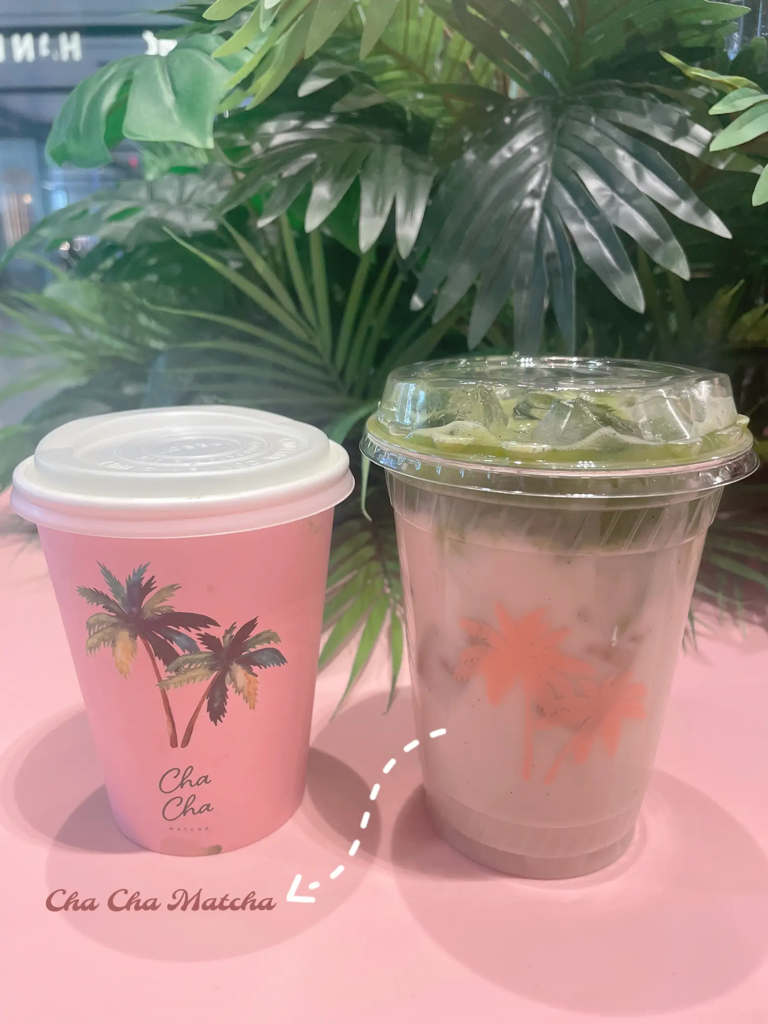 Cha Cha Matcha Gallery posted by Mermaid.IV.Life Lemon8