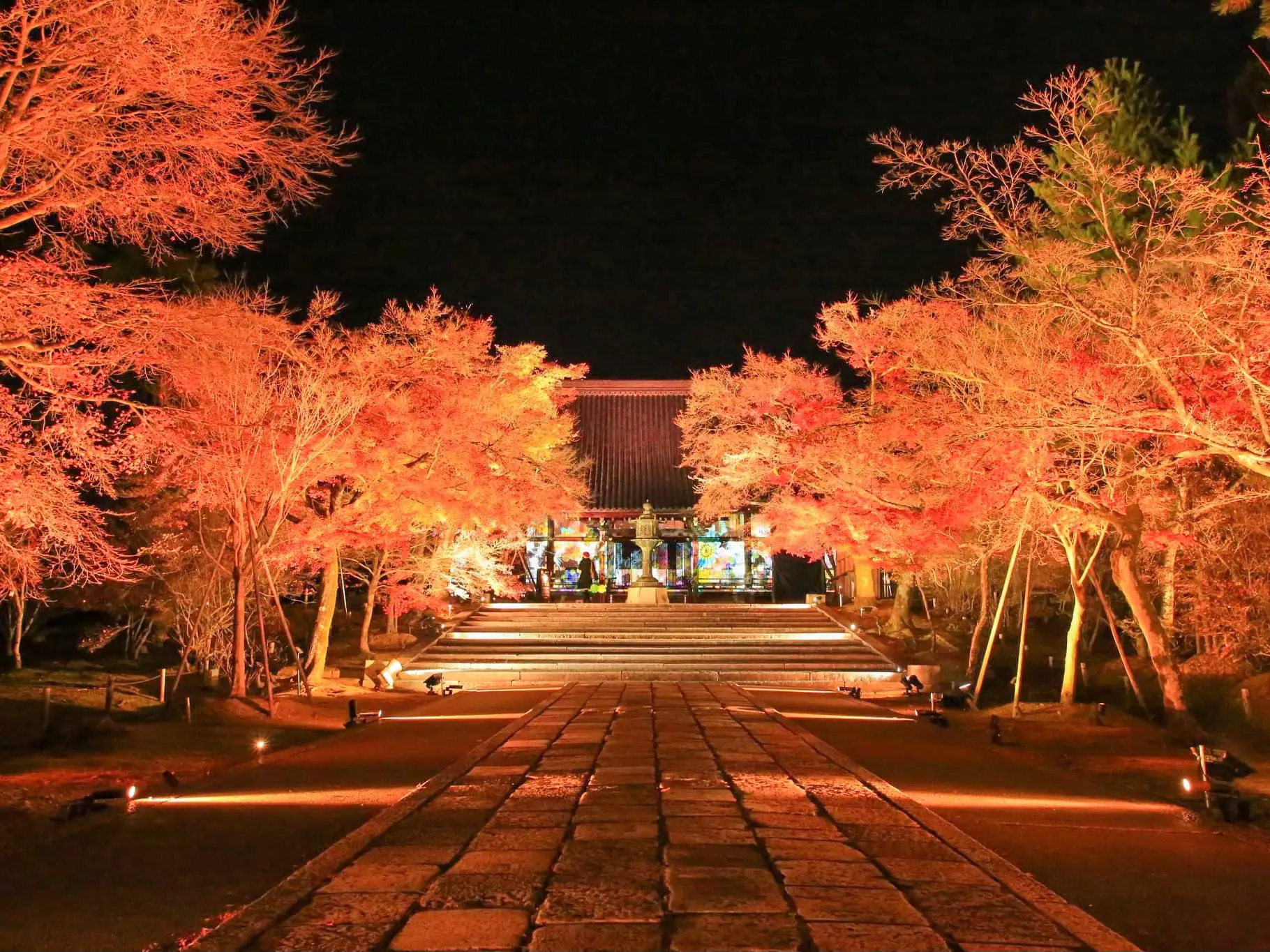 おもてなし庵スケスケ着物 京都】NAKED GARDEN ONE KYOTO仁和寺 | チサトが投稿したフォトブック | Lemon8