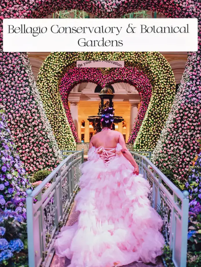 Bellagio Conservatory & Botanical Gardens | Gallery posted by ...
