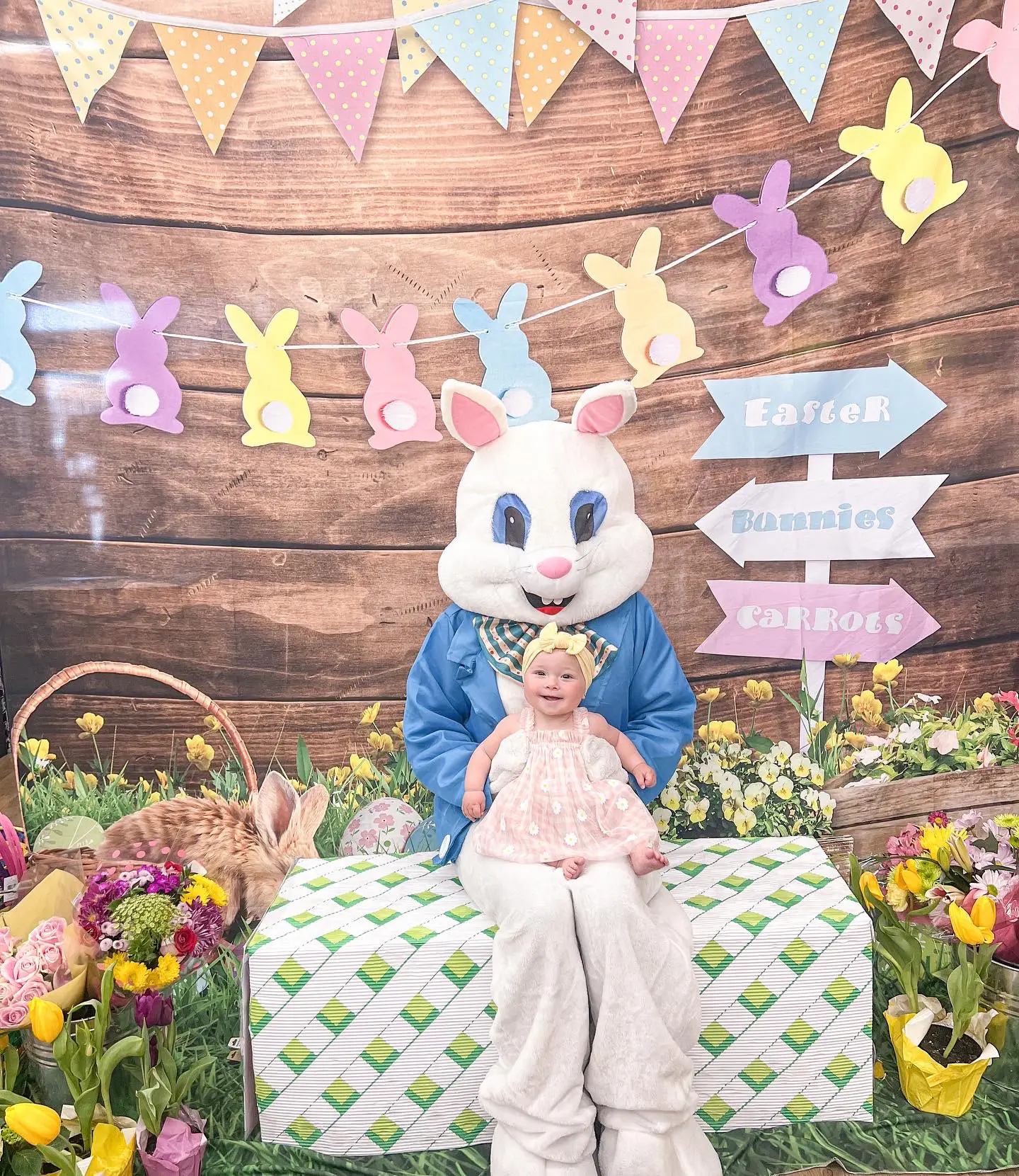 Man Sitting in The Easter Basket