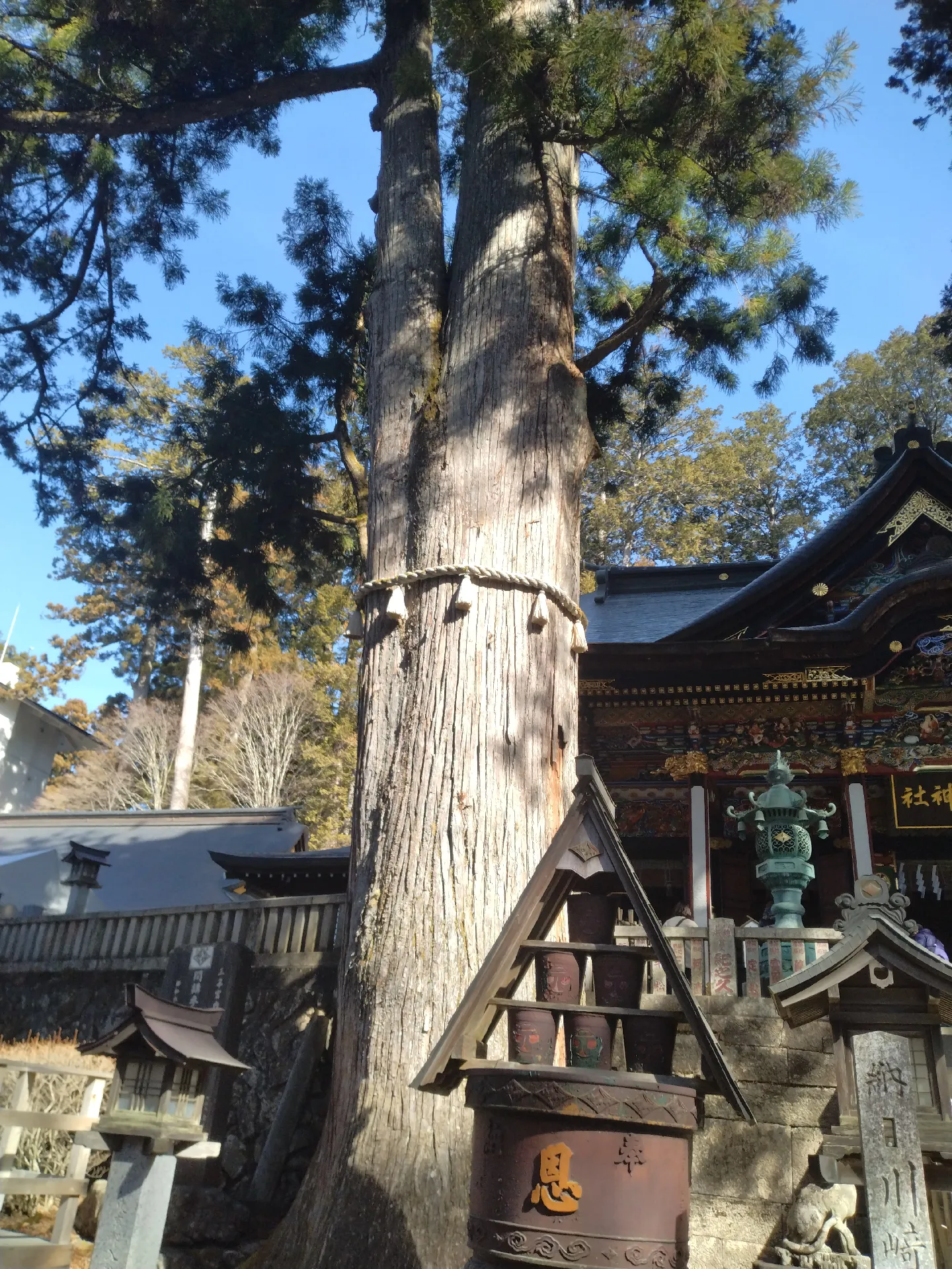 御神木 三峯神社 | タオが投稿したフォトブック | Lemon8