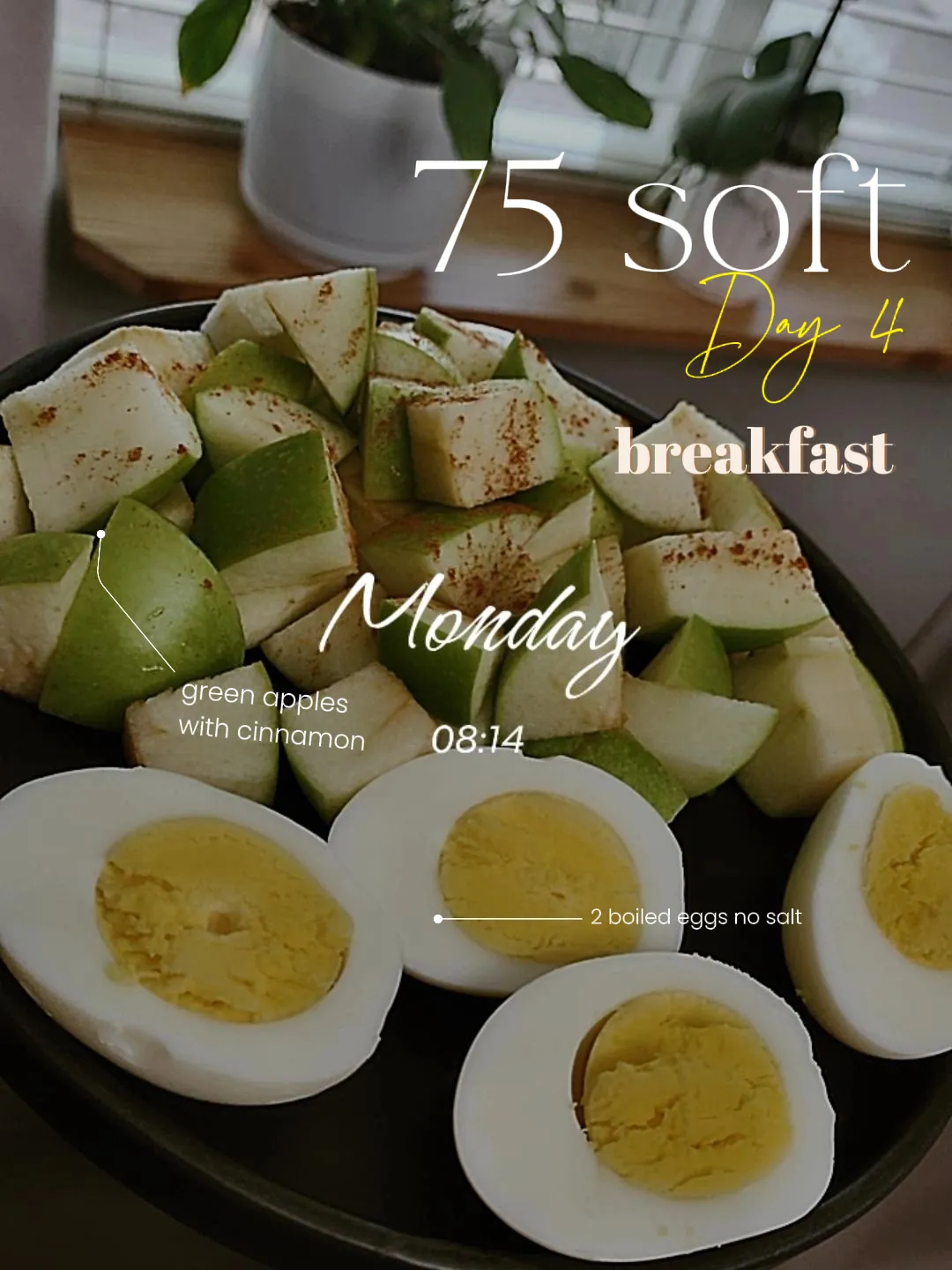 75 Soft Challenge Meal Plan Ideas, Food List & Recipes – 75 Soft