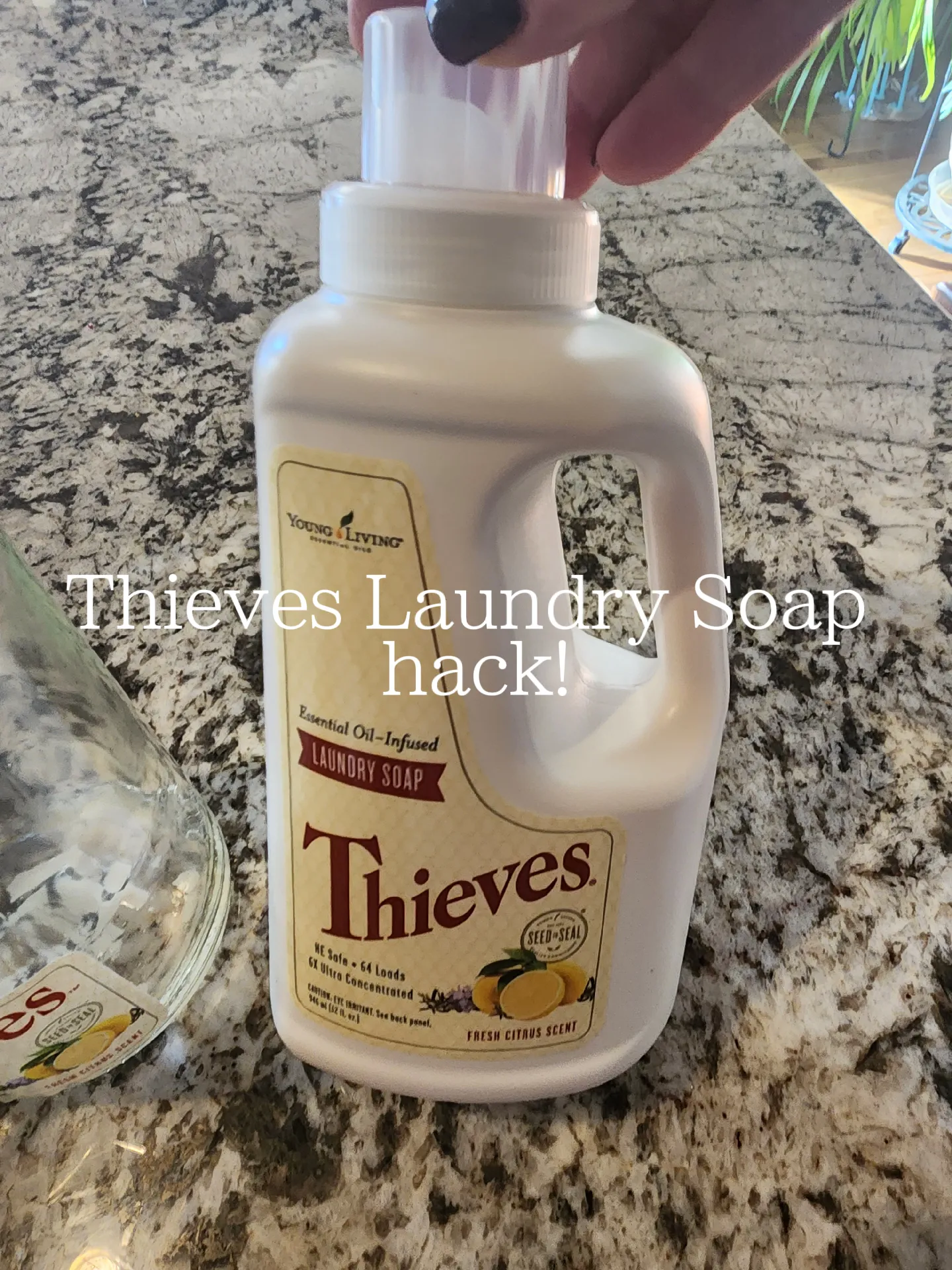 Thieves Laundry Detergent Hack