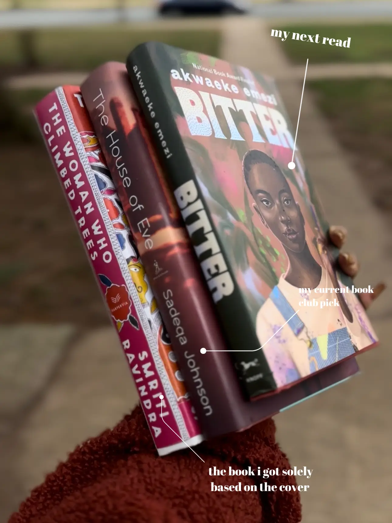 My Three Books For The Week! | Gallery posted by ShelbeyMonae | Lemon8