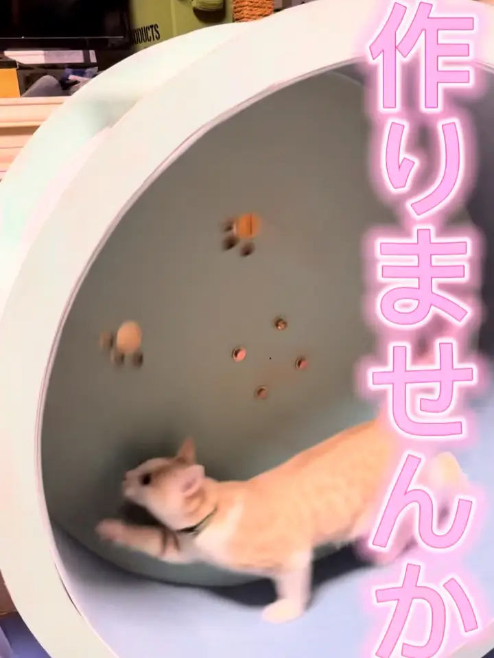 キャットホイール 猫 猫用品 ランニング ホイールピンク（Amazon
