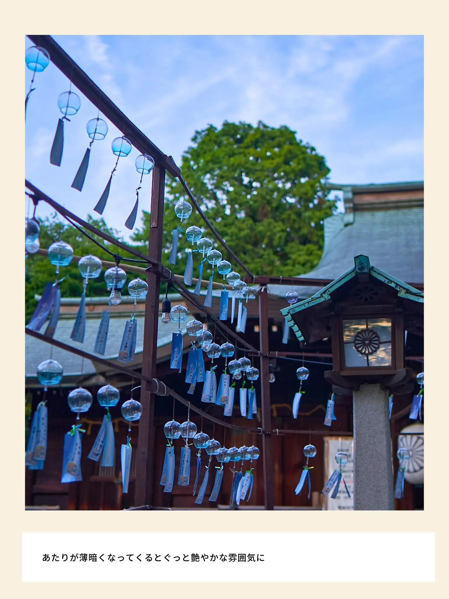 【ライトアップもある💡】水無瀬神宮の風鈴祭り（大阪）の画像 (4枚目)