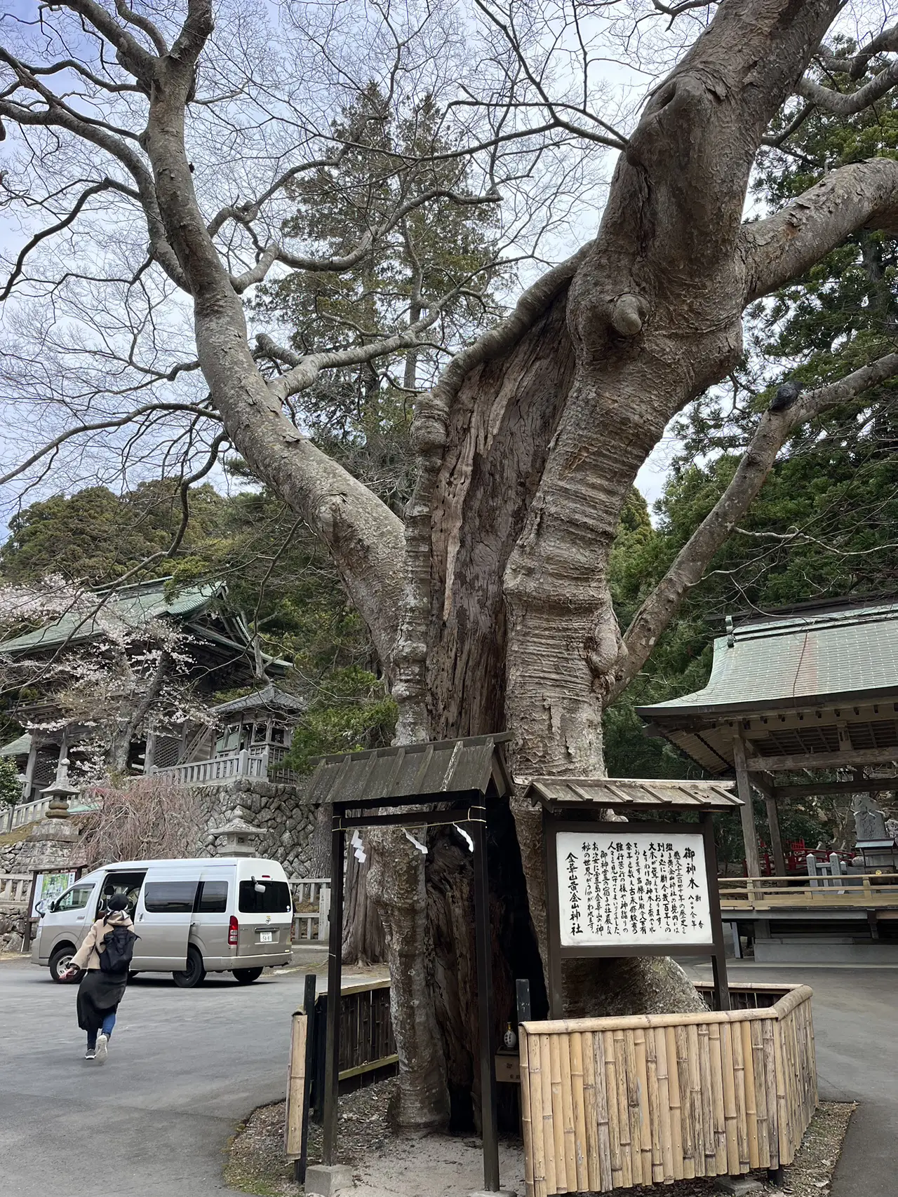 金華山黄金山神社弁財天 御朱印帳 人気 3年連続参拝 最強開運御守り