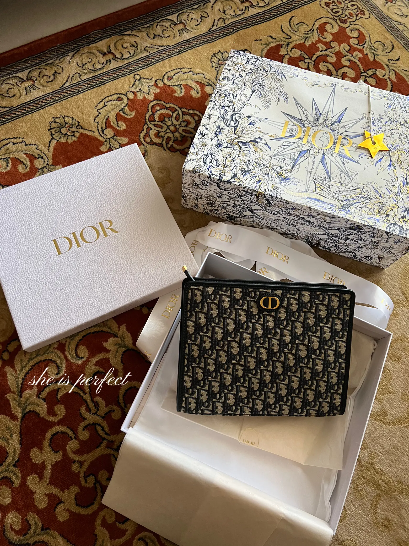 UNBOXING DIOR SADDLE NANO POUCH 
