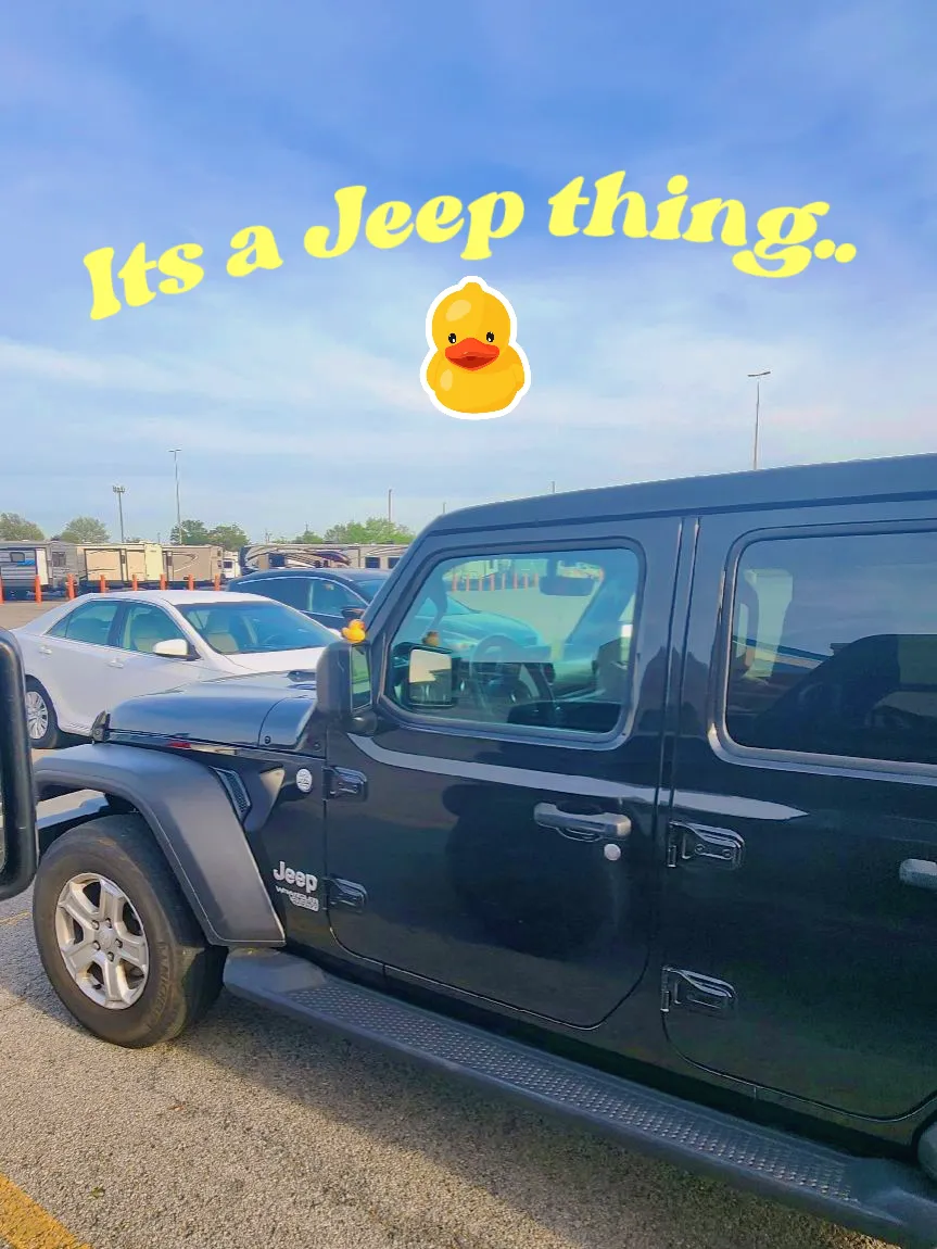 how do people stick their ducks in their jeep｜TikTok Search