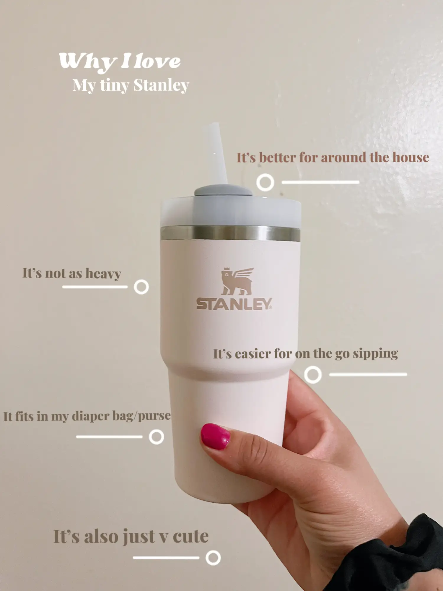 My tiny Stanley, Gallery posted by kendralala