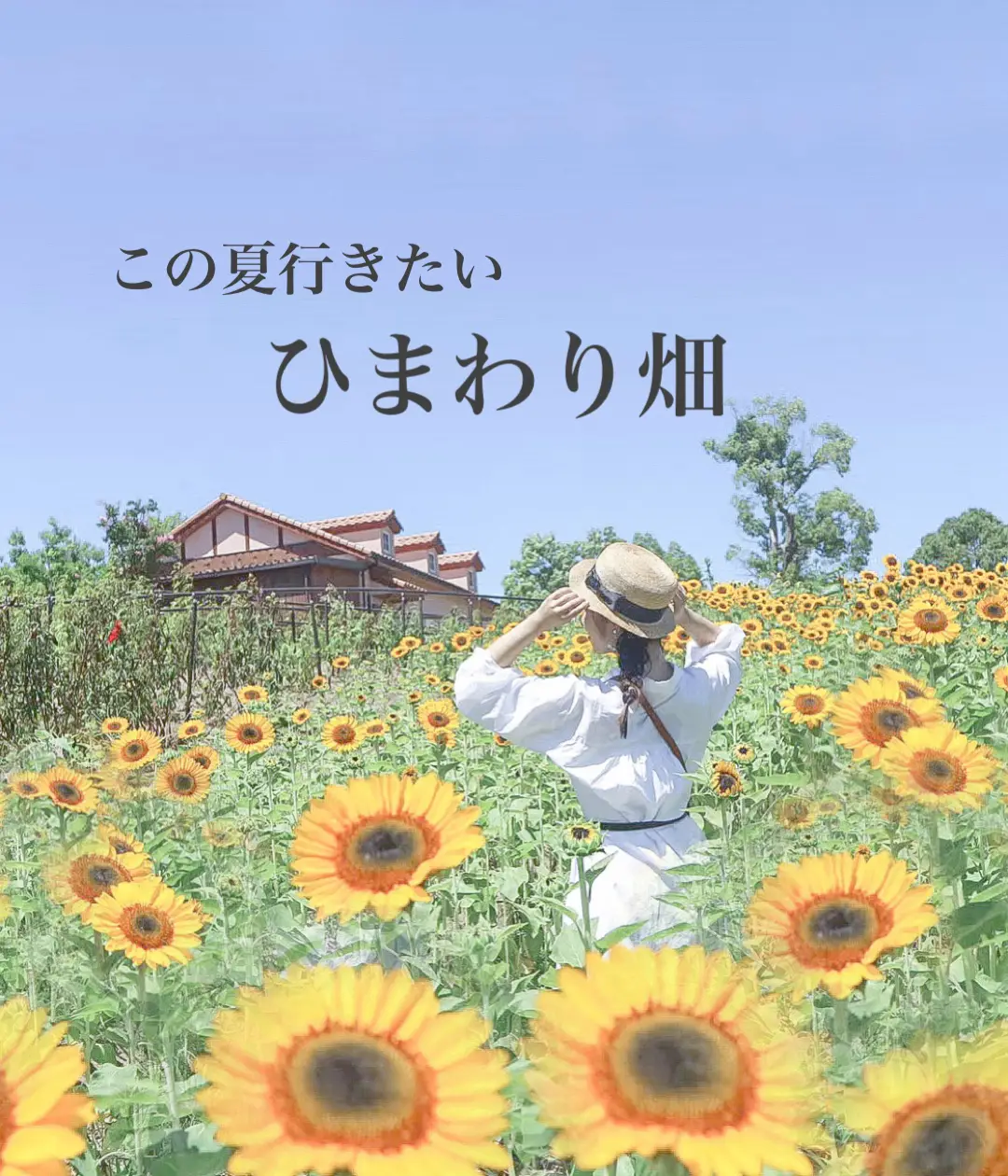 この夏行きたい！ひまわり畑🌻 | きゃな_お洒落旅が投稿したフォト