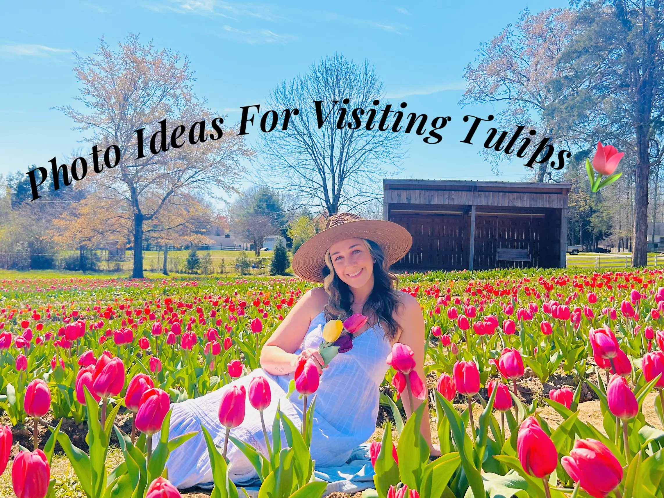 Photo Ideas For Visiting Tulips Gallery Posted By Tess Fulk Lemon8 photo-ideas-for-visiting-tulips-gallery-posted-by-tess-fulk-lemon8