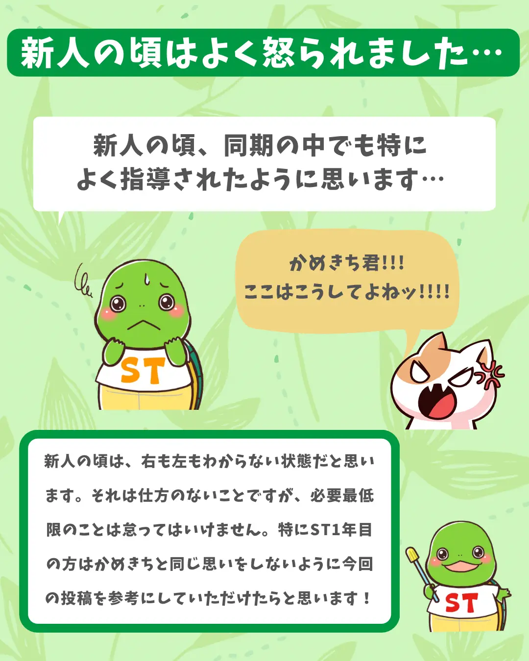 言語聴覚士かめきちが1年目に先輩によく怒られたこと3選 | 言語聴覚士