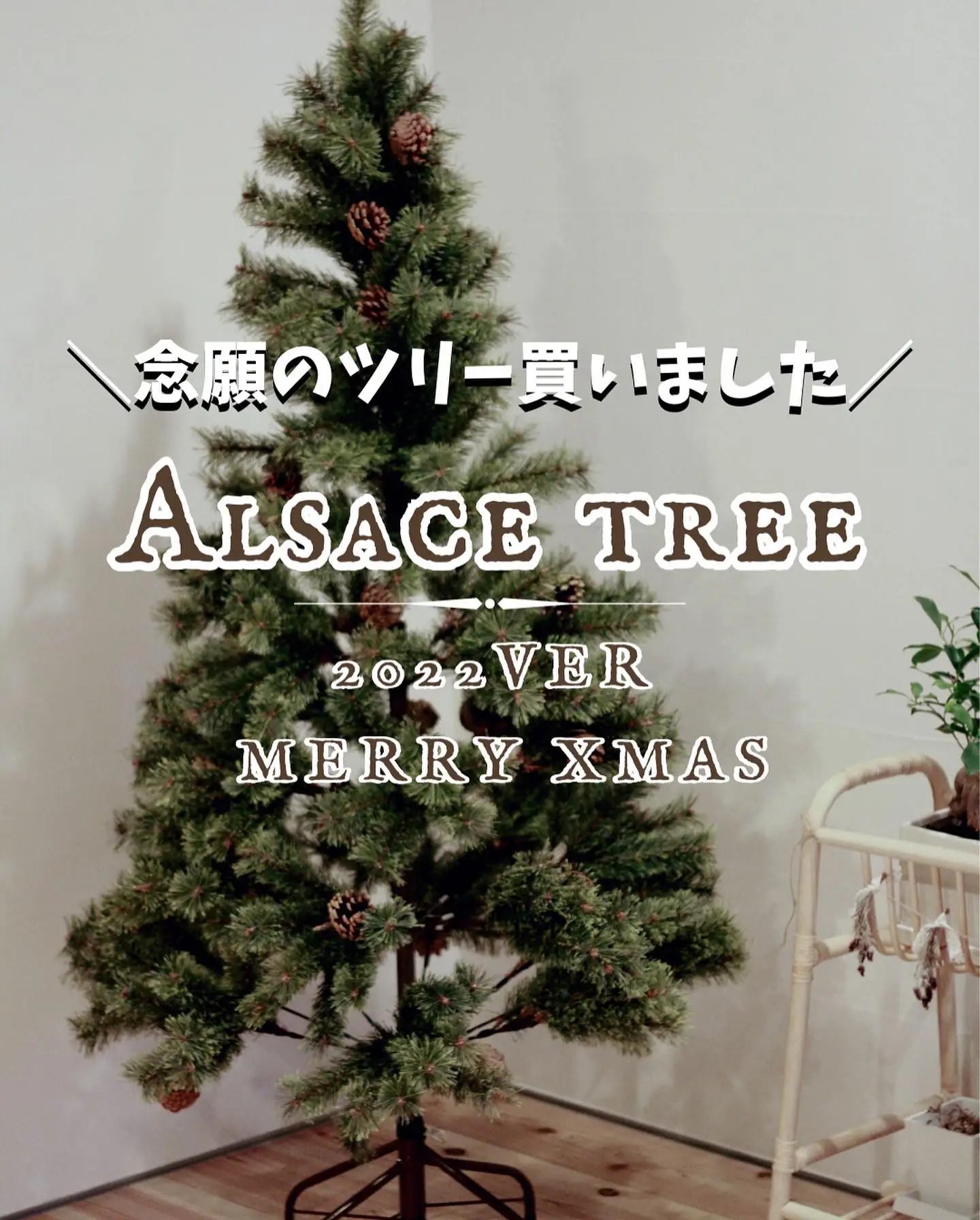アルザス Alsace クリスマスツリー 180センチ - 季節/年中行事