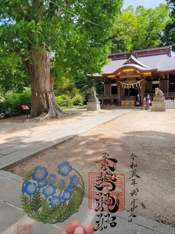 クリアな御朱印⛩️素鵞神社 小美玉市 | taichi9924が投稿したフォト 