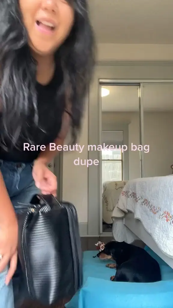 makeup bag dupe for cheap! Linked under “beauty” #finds #, Makeup  Bag