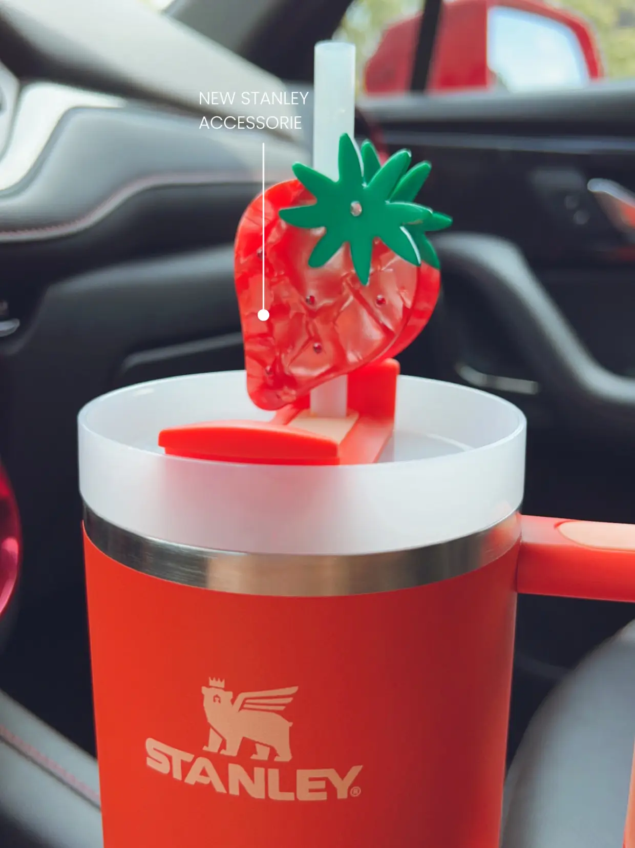 THE CUTEST STANLEY ACCESSORIE🍓