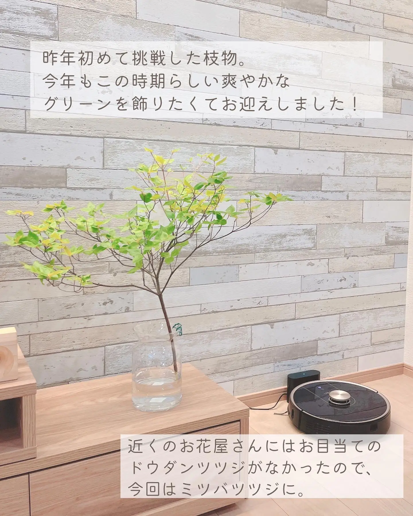 この1本で 空間が明るくなる ドウダンツツジ✨