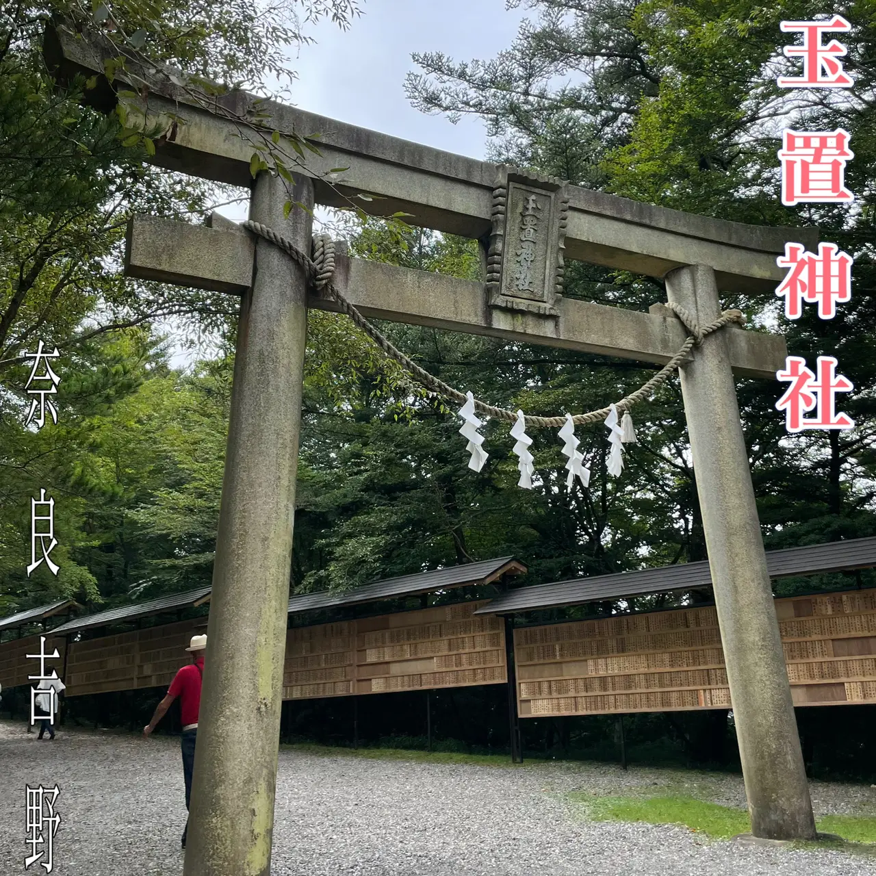 玉置神社 | 🍀Kimiyo🍀が投稿したフォトブック | Lemon8