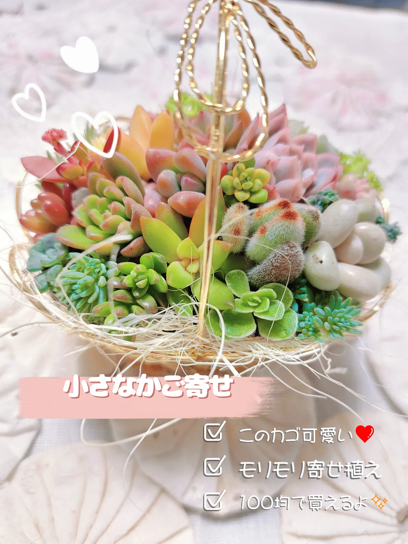 小さなカゴにもりもり寄せ植え💗 | ♡caroline♡が投稿したフォト