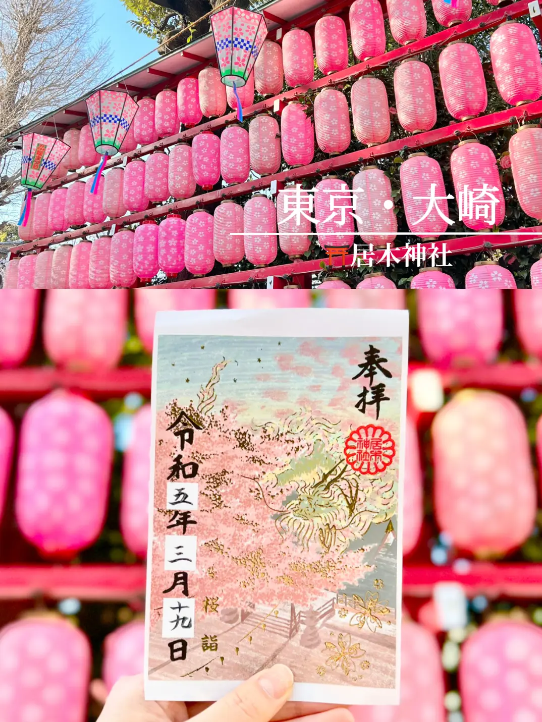 赤城神社　御朱印帳　春季限定ピンク 赤城神社 春限定ピンク御朱印帳 - メルカリ