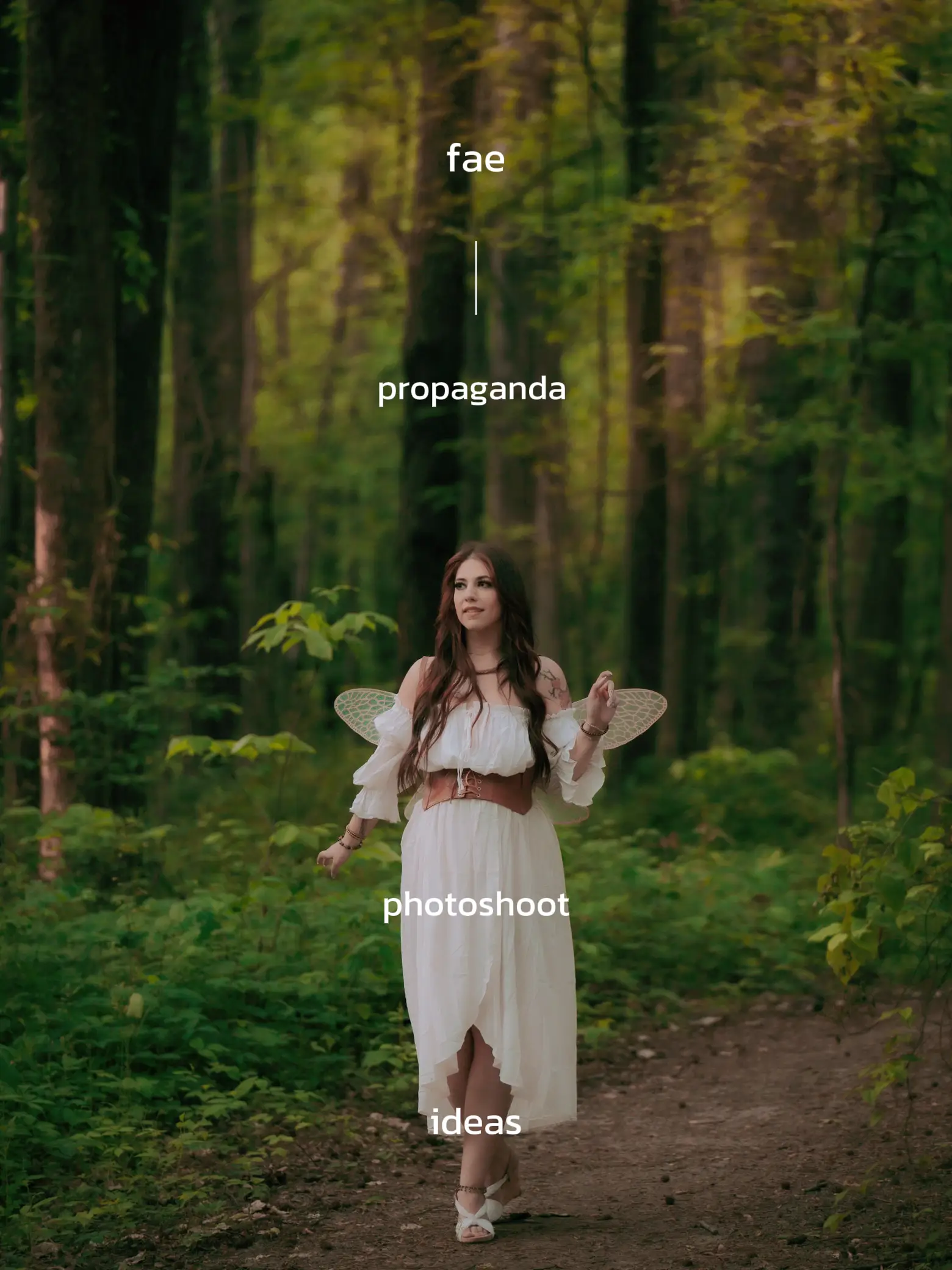 fae Gallery posted by Cassie Rae Lemon8