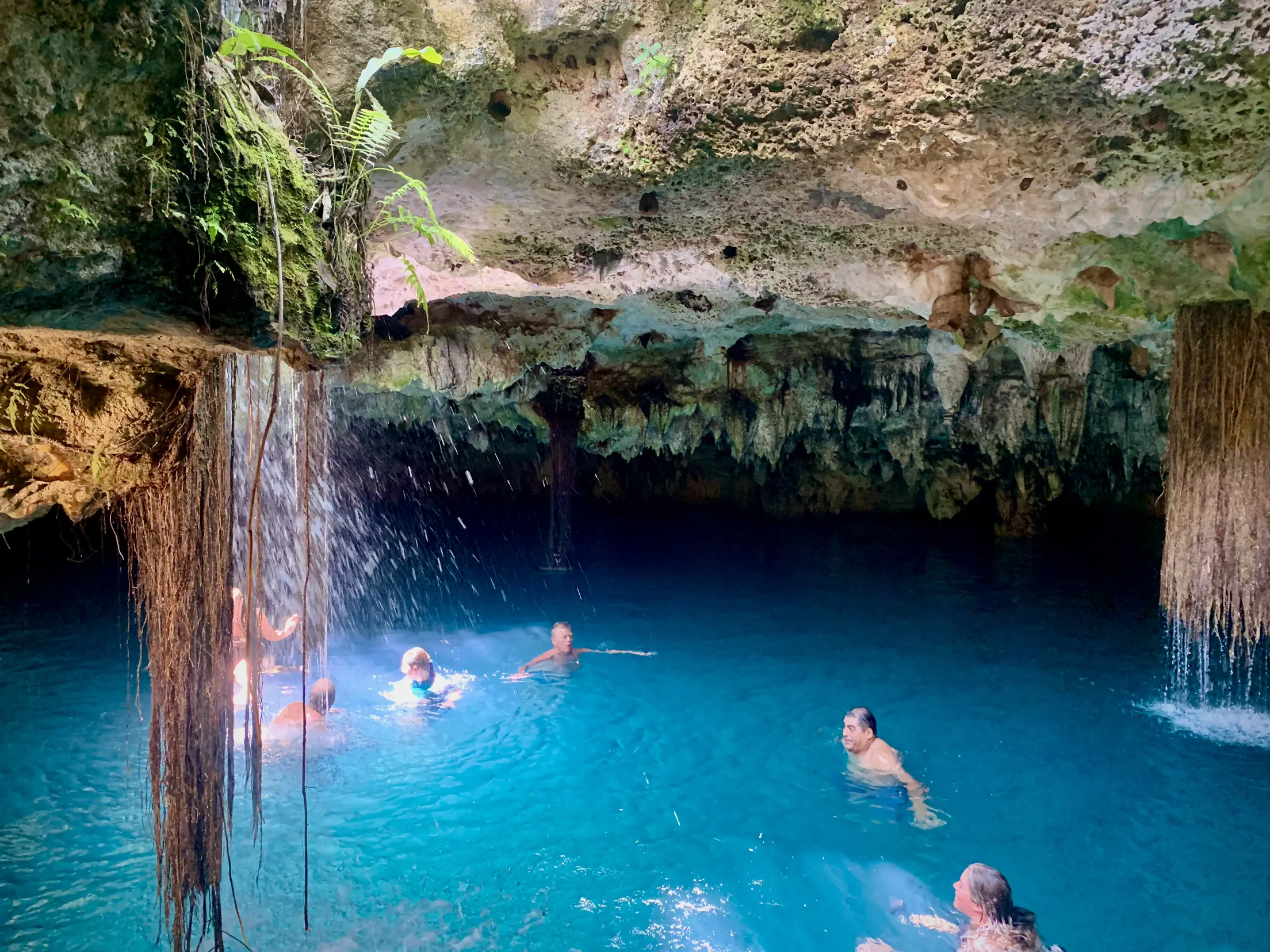 Magical Cenote Elvira | Gallery posted by Chef Chelly | Lemon8
