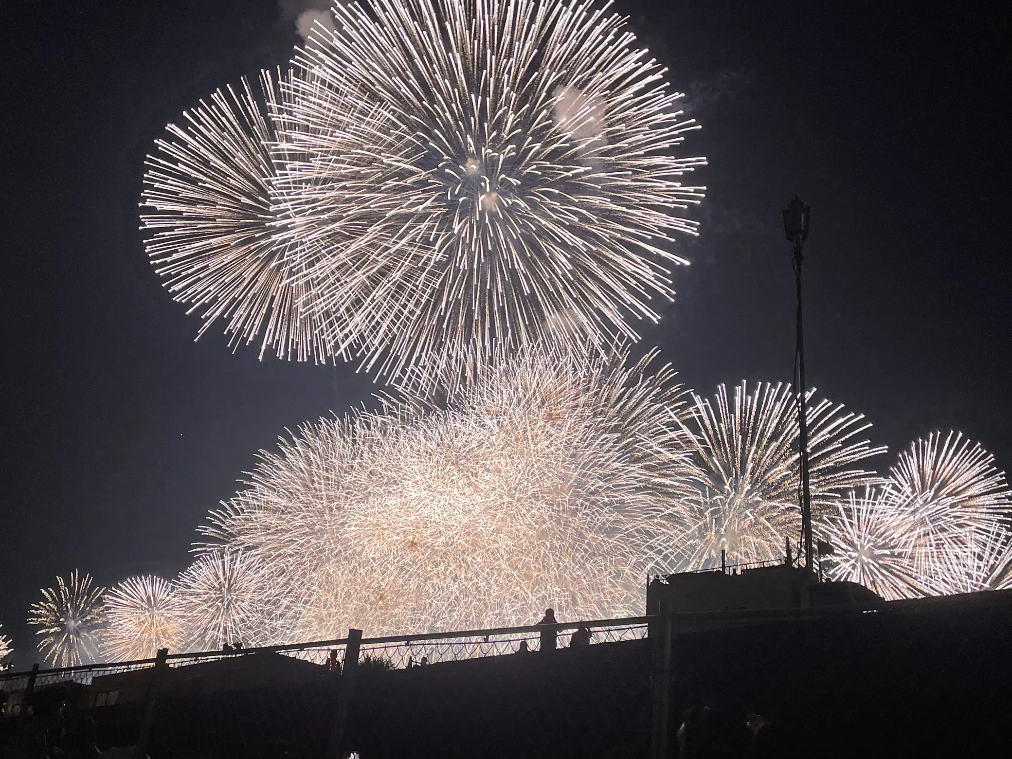 ぴあシートラストです。なにわ淀川花火大会 ぴあシート ２枚 ぽかっ