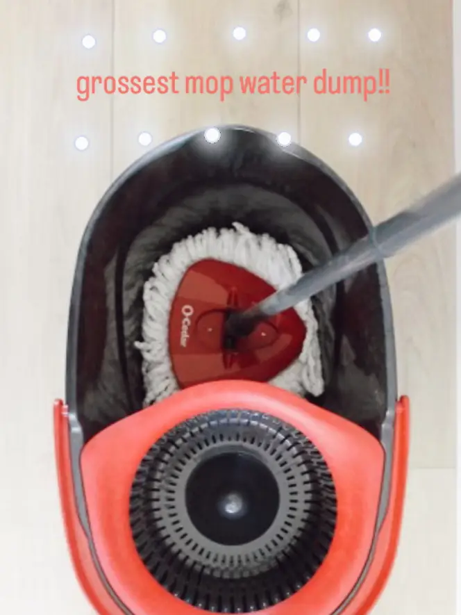 Love it or hate it?— The Tineco vacuum mop✨, Gallery posted by  itsnicandrea