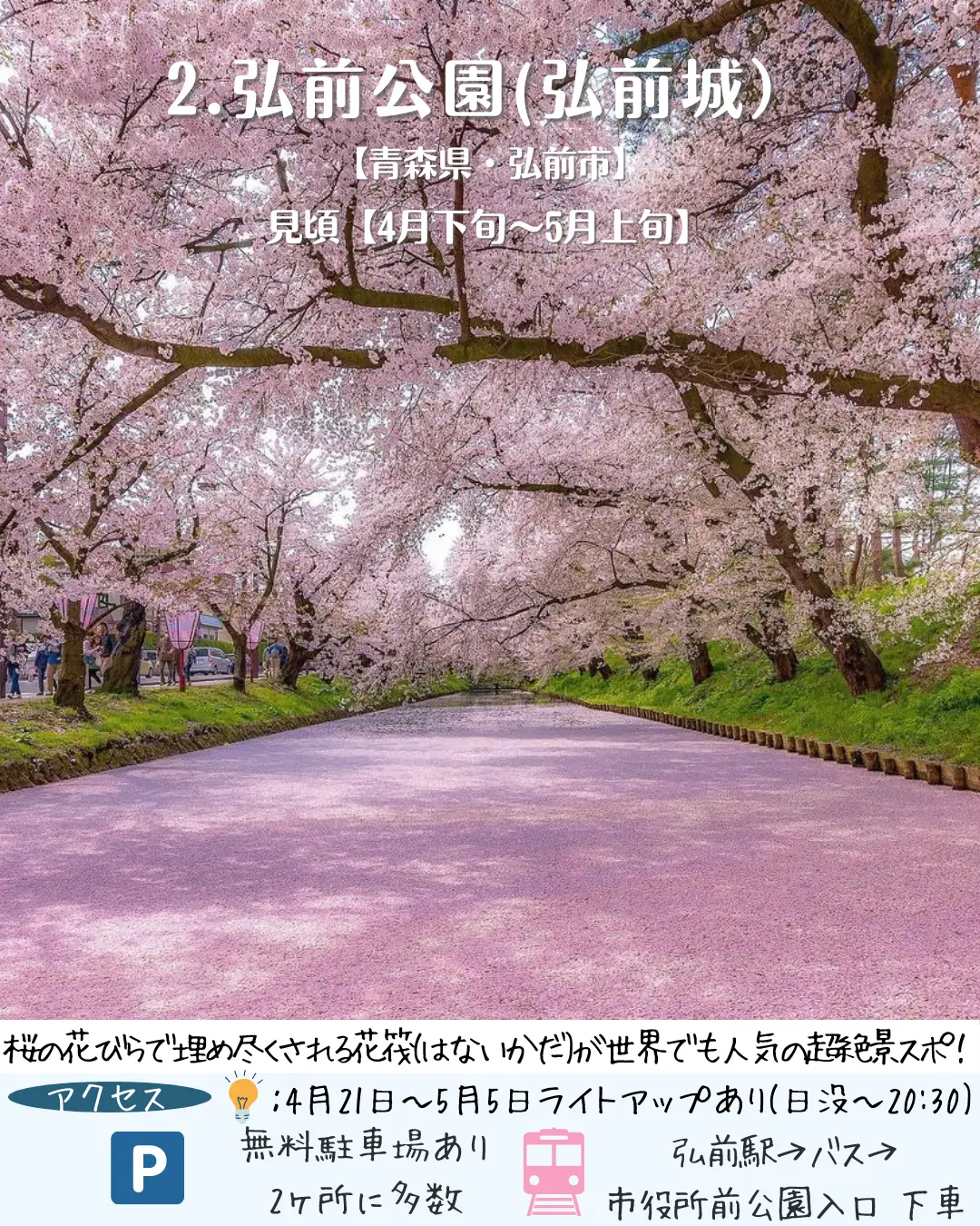 2024年の桜 東北 名所のアイデア20選