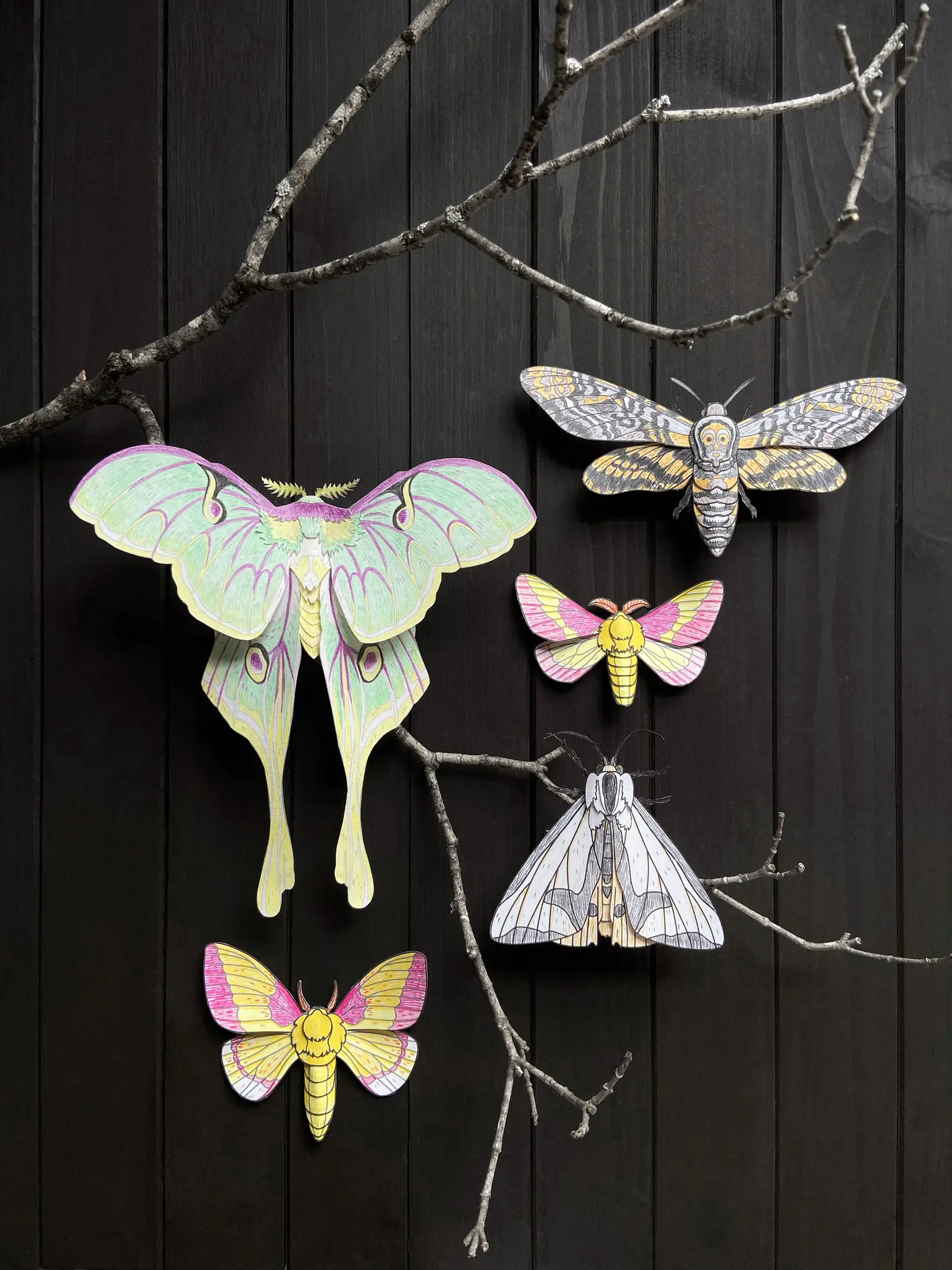 Butterfly & Moth Stickers | Paper Source