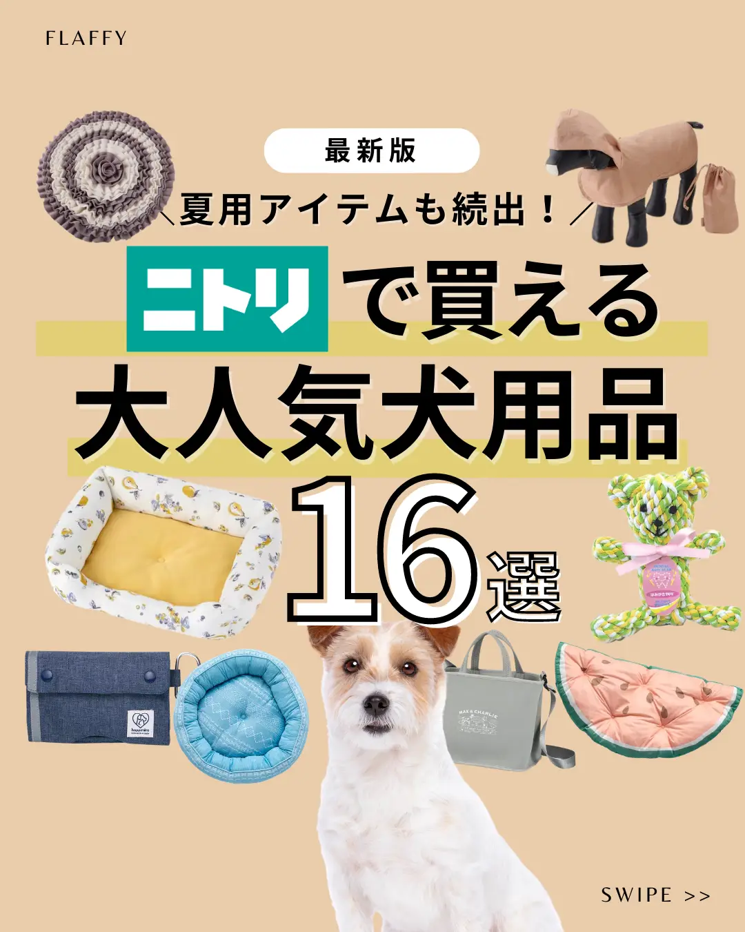 Popular dog supplies available at Nitori Gallery posted by