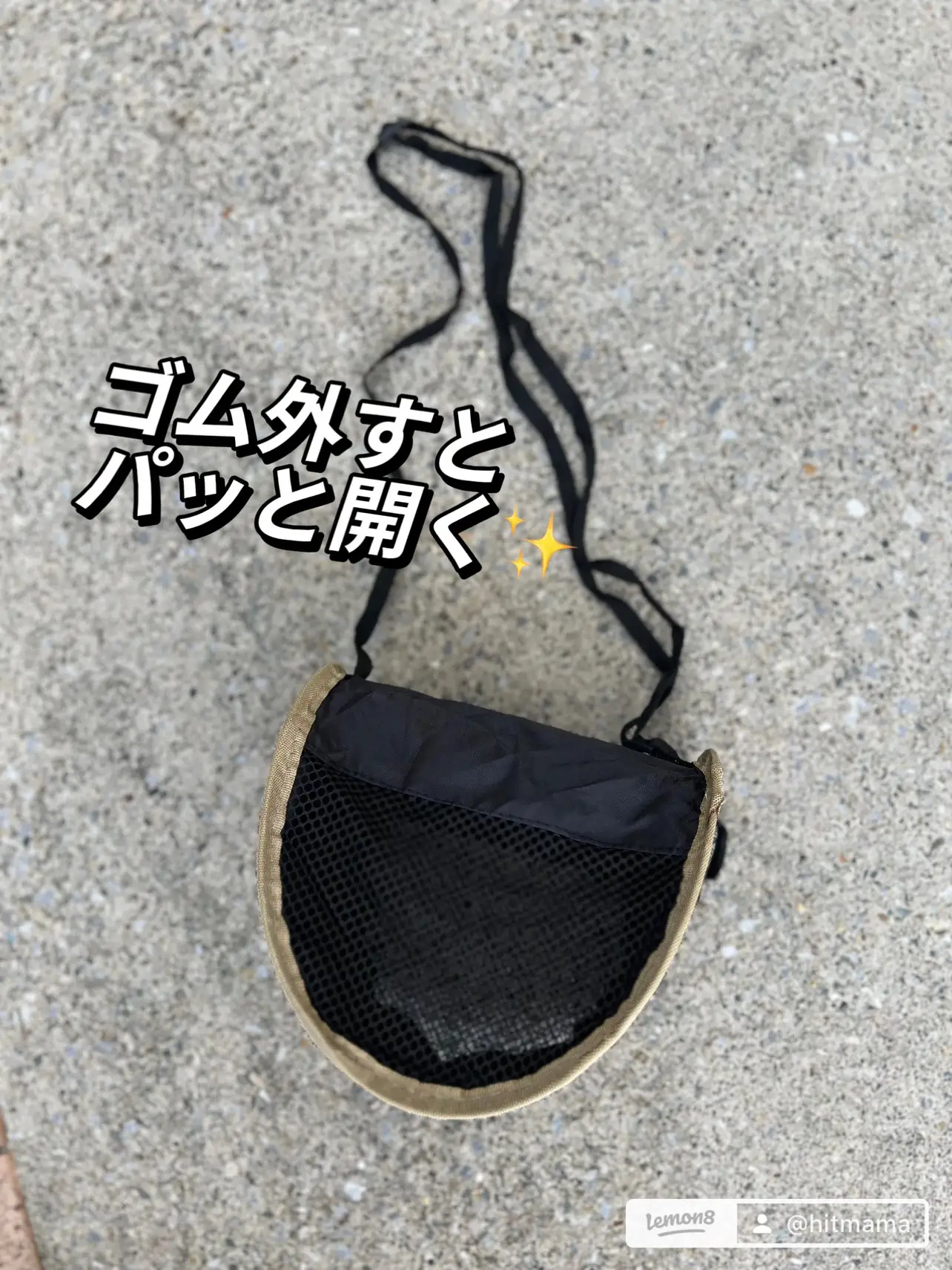 セリア購入品】折りたたみ虫かご🪰🏕️ | -hitママ-男3兄弟育児が投稿したフォトブック | Lemon8